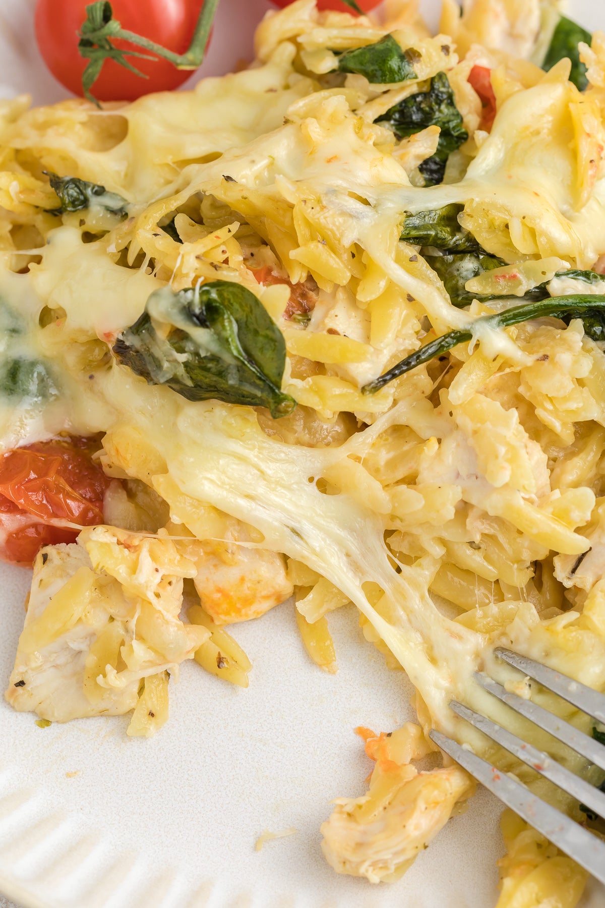 Chicken Orzo Pasta Bake Exclusive