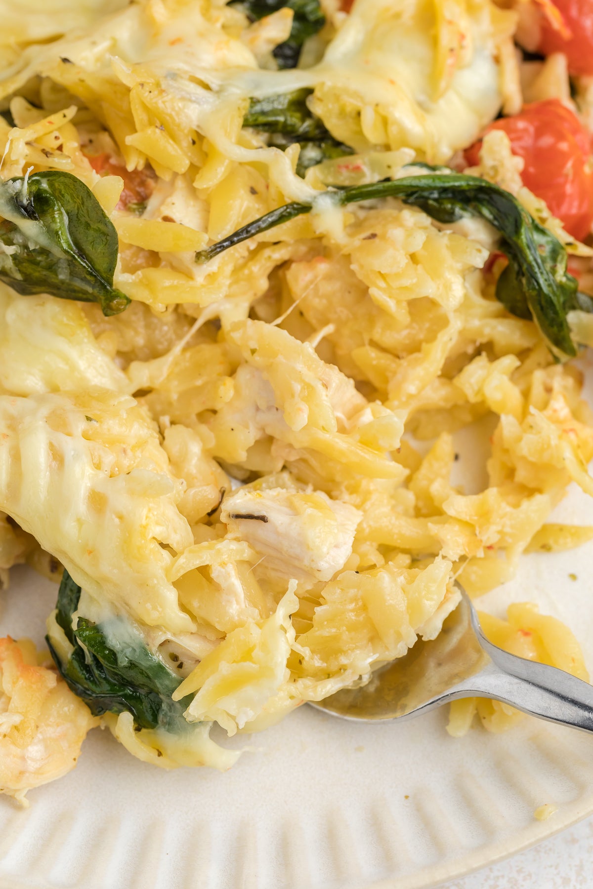 Chicken Orzo Pasta Bake Exclusive