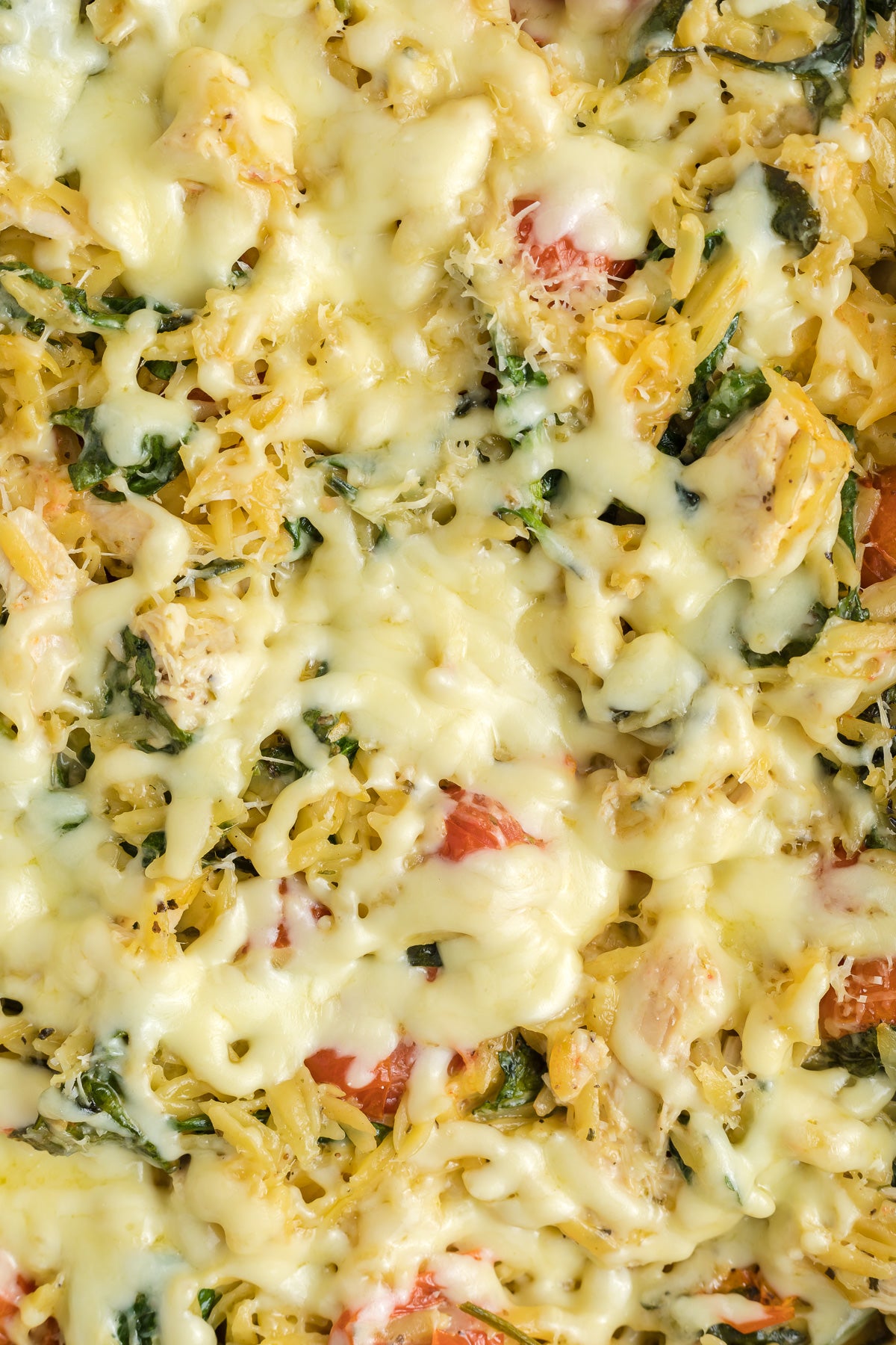 Chicken Orzo Pasta Bake Exclusive