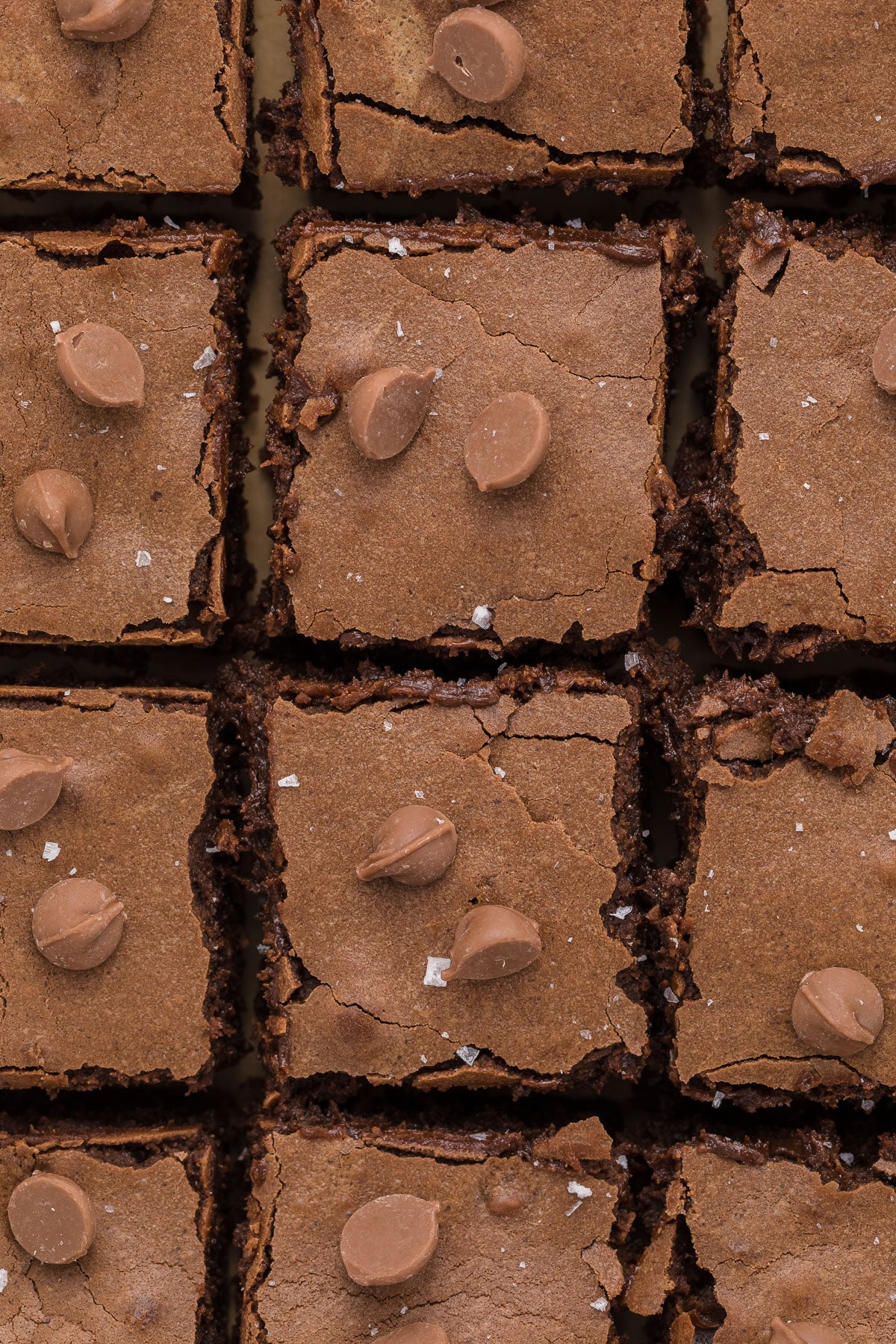 Condensed Milk Brownies Exclusive