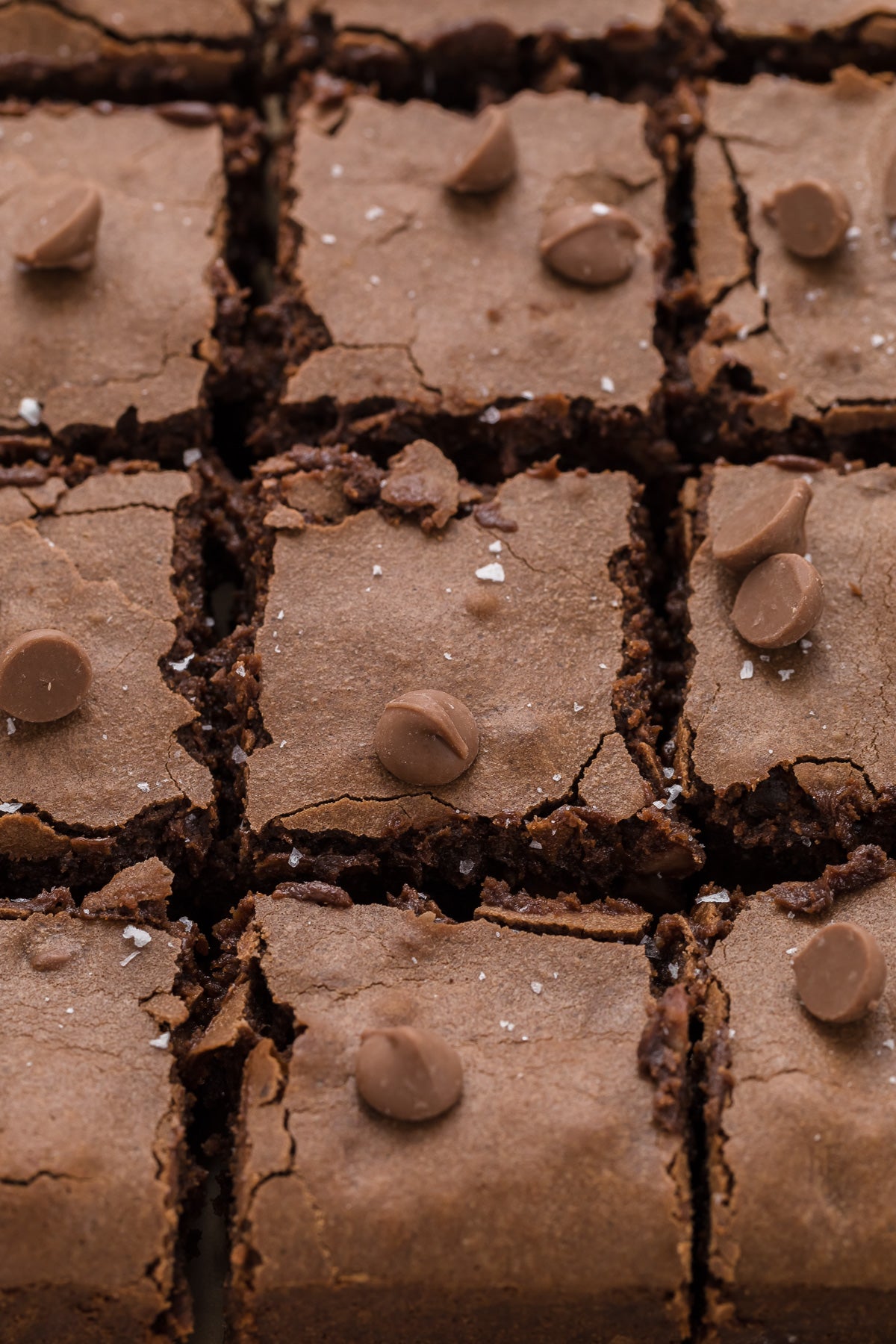 Condensed Milk Brownies Exclusive