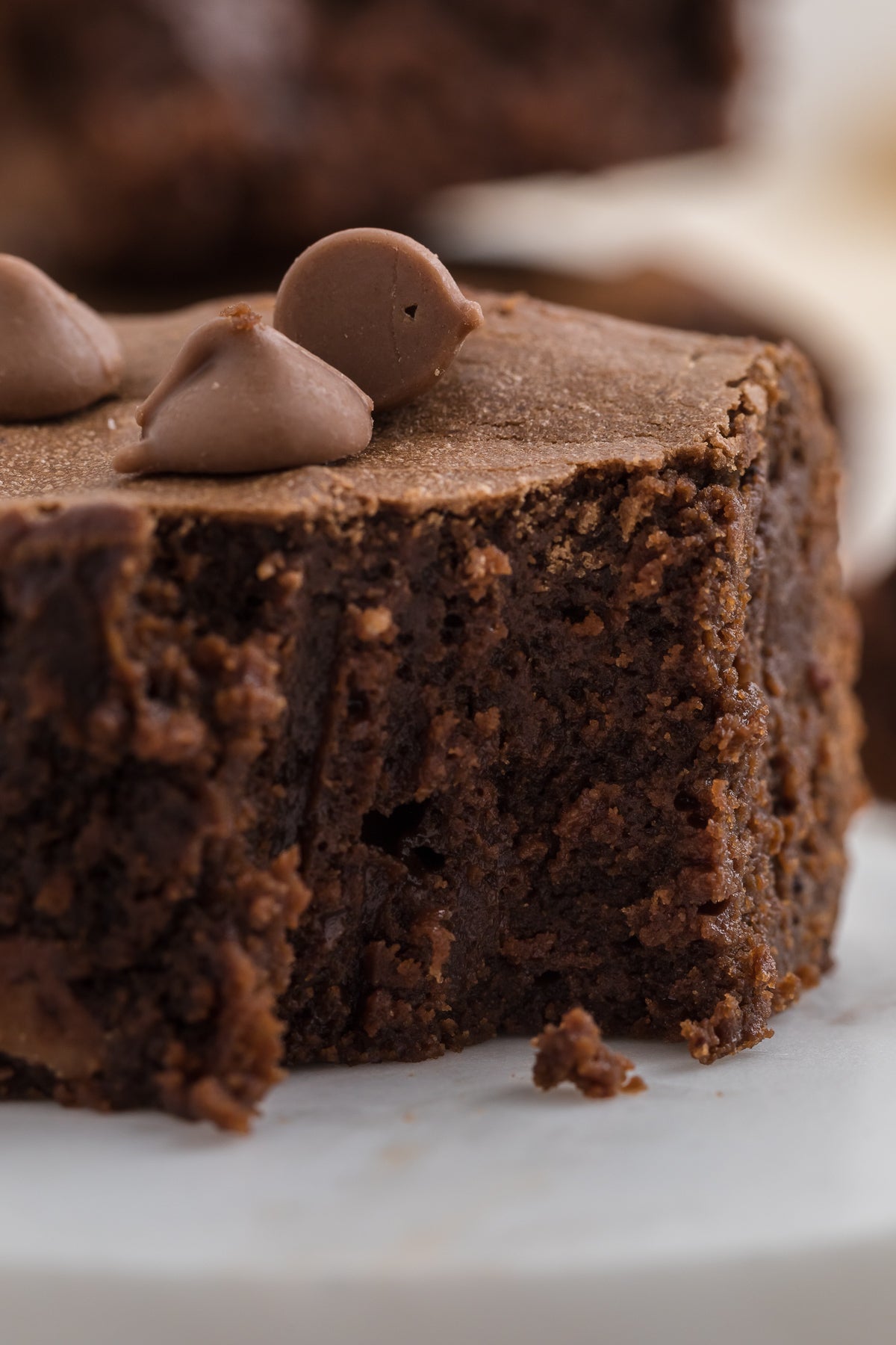 Condensed Milk Brownies Exclusive