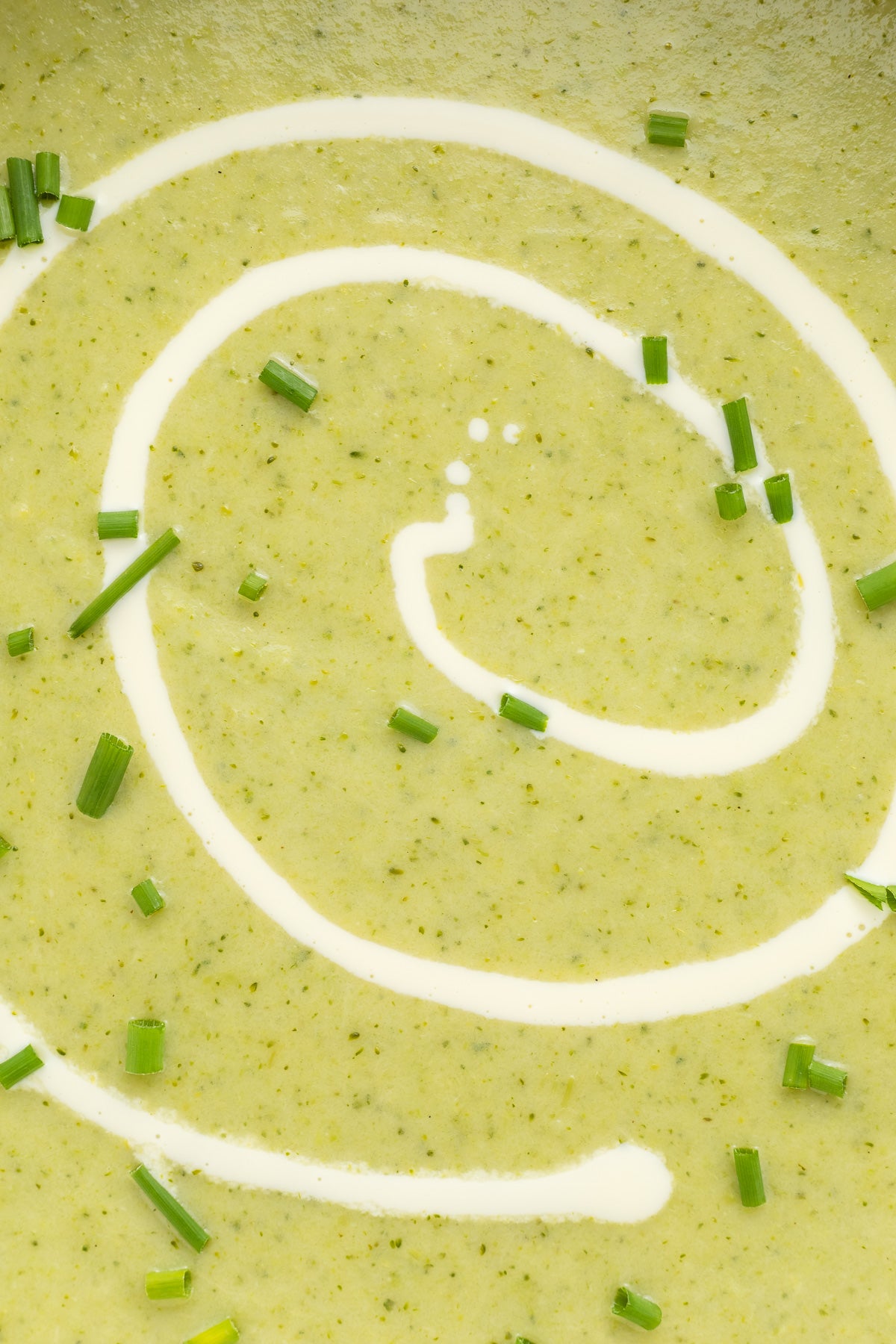 Cream of Broccoli Soup Exclusive