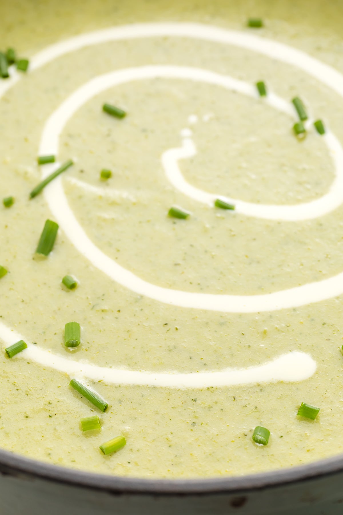 Cream of Broccoli Soup Exclusive