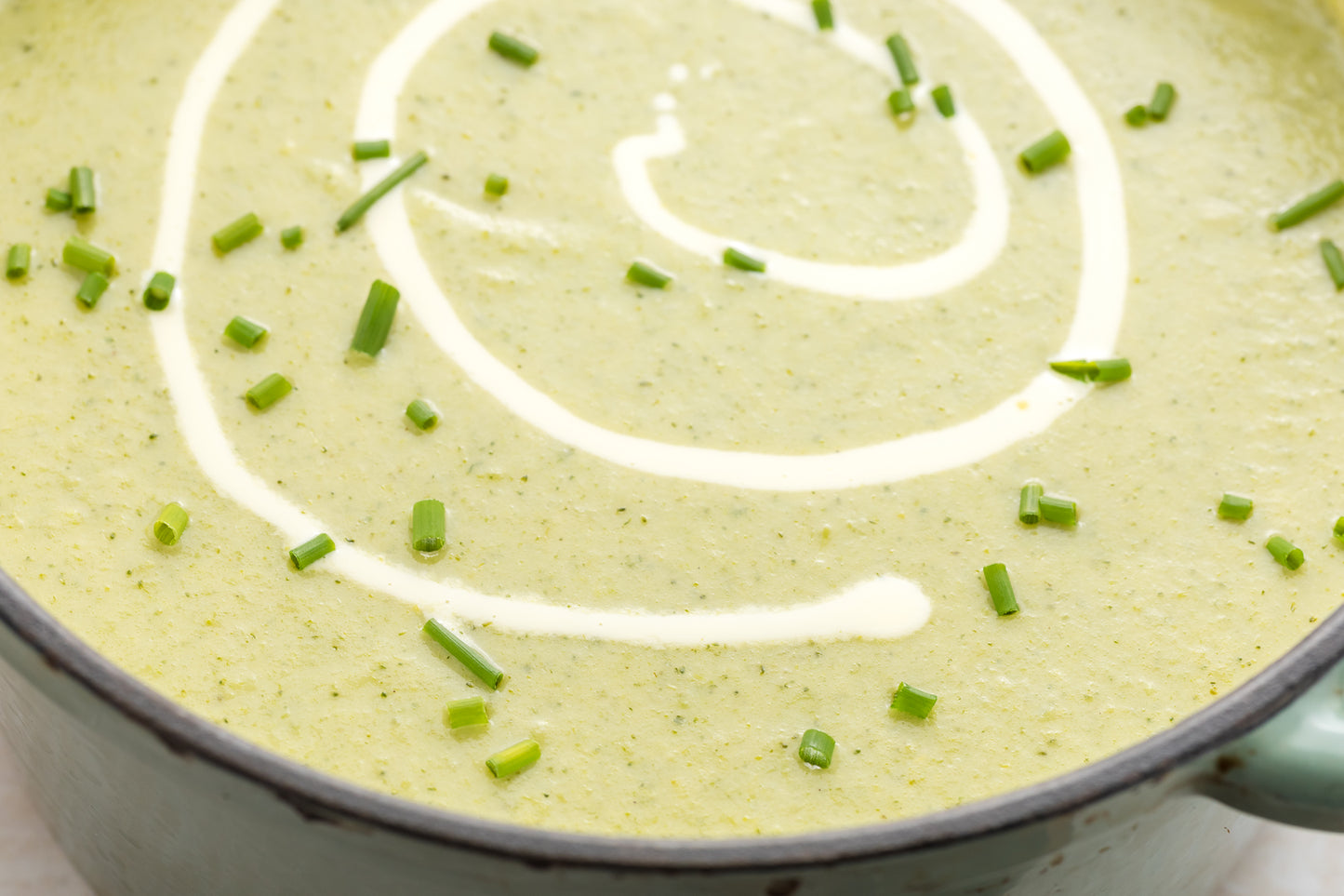 Cream of Broccoli Soup Exclusive