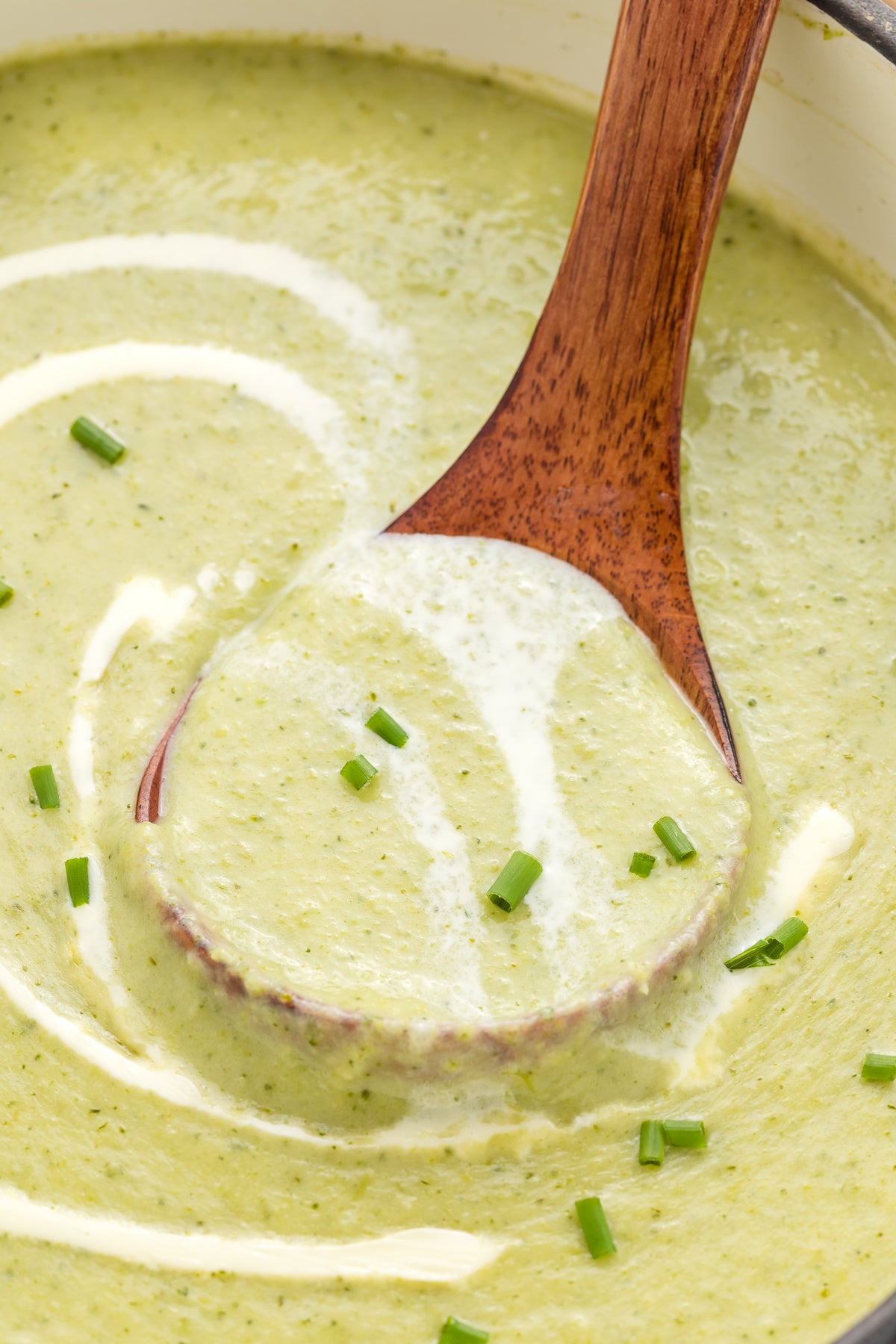 Cream of Broccoli Soup Exclusive