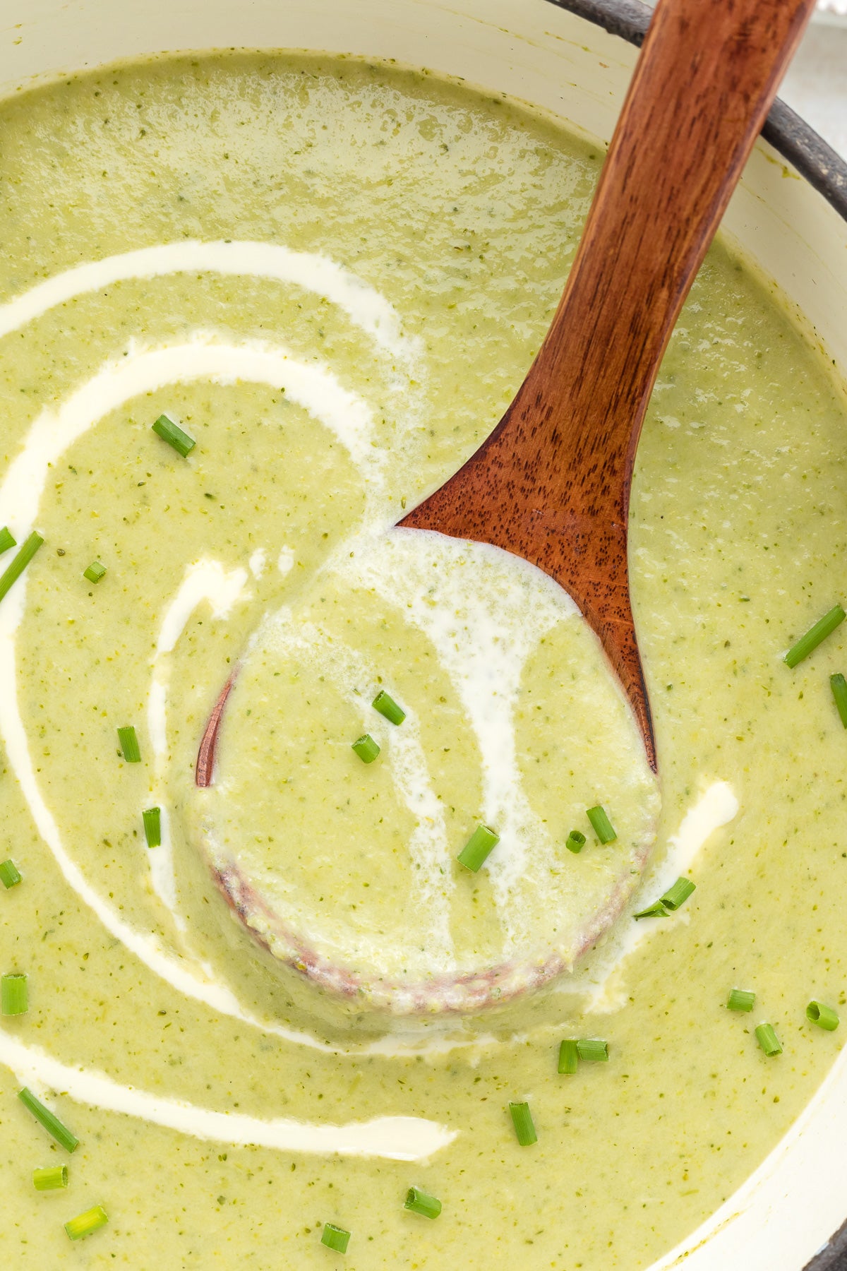 Cream of Broccoli Soup Exclusive