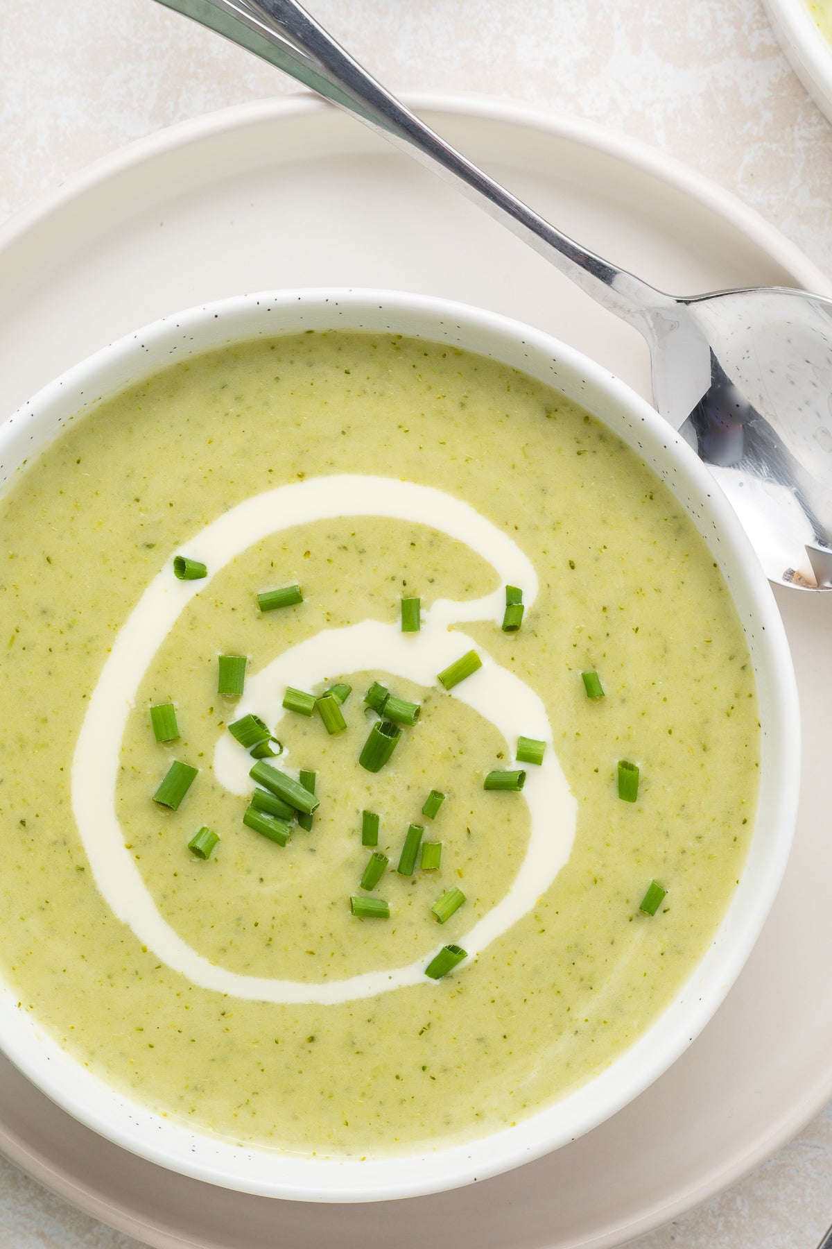 Cream of Broccoli Soup Exclusive