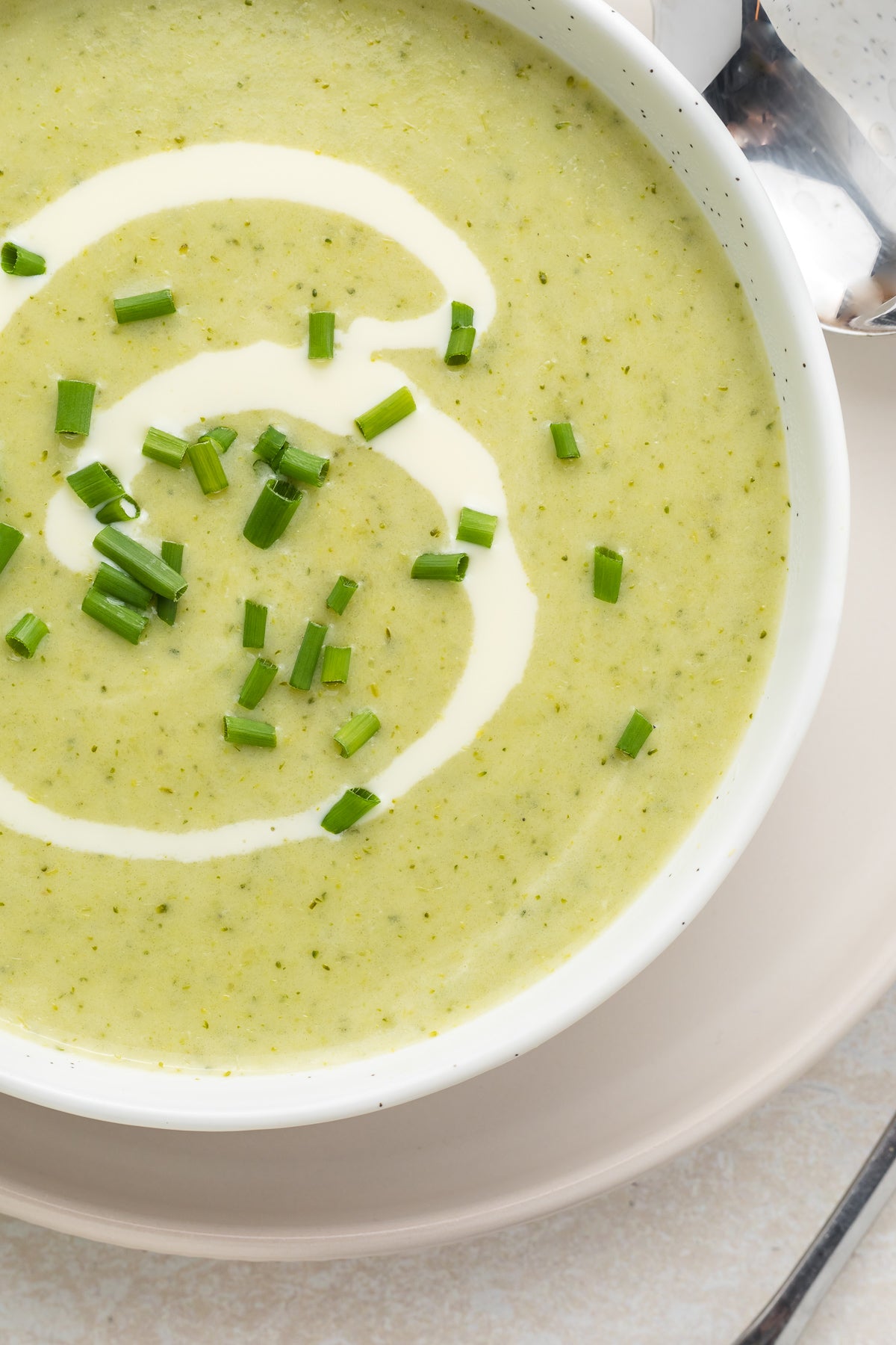 Cream of Broccoli Soup Exclusive