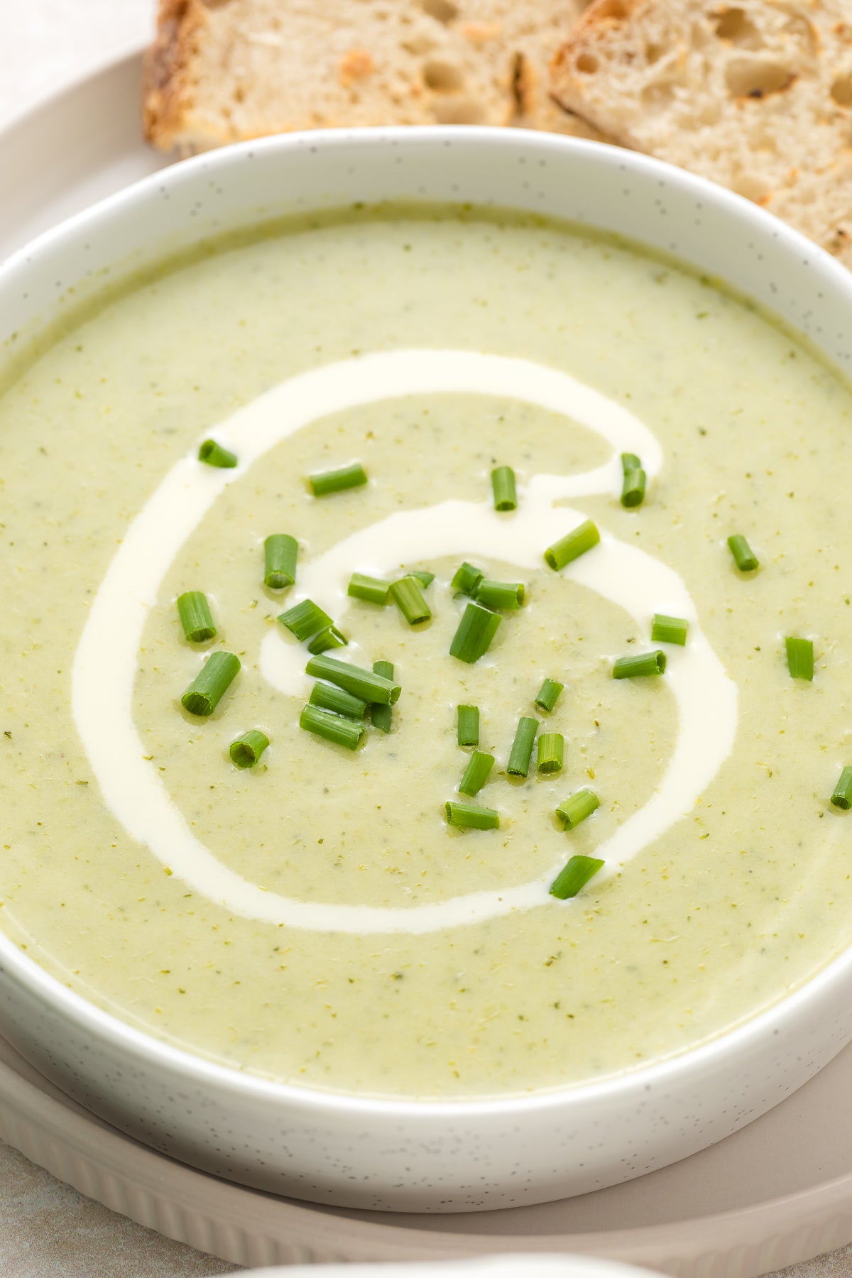 Cream of Broccoli Soup Exclusive