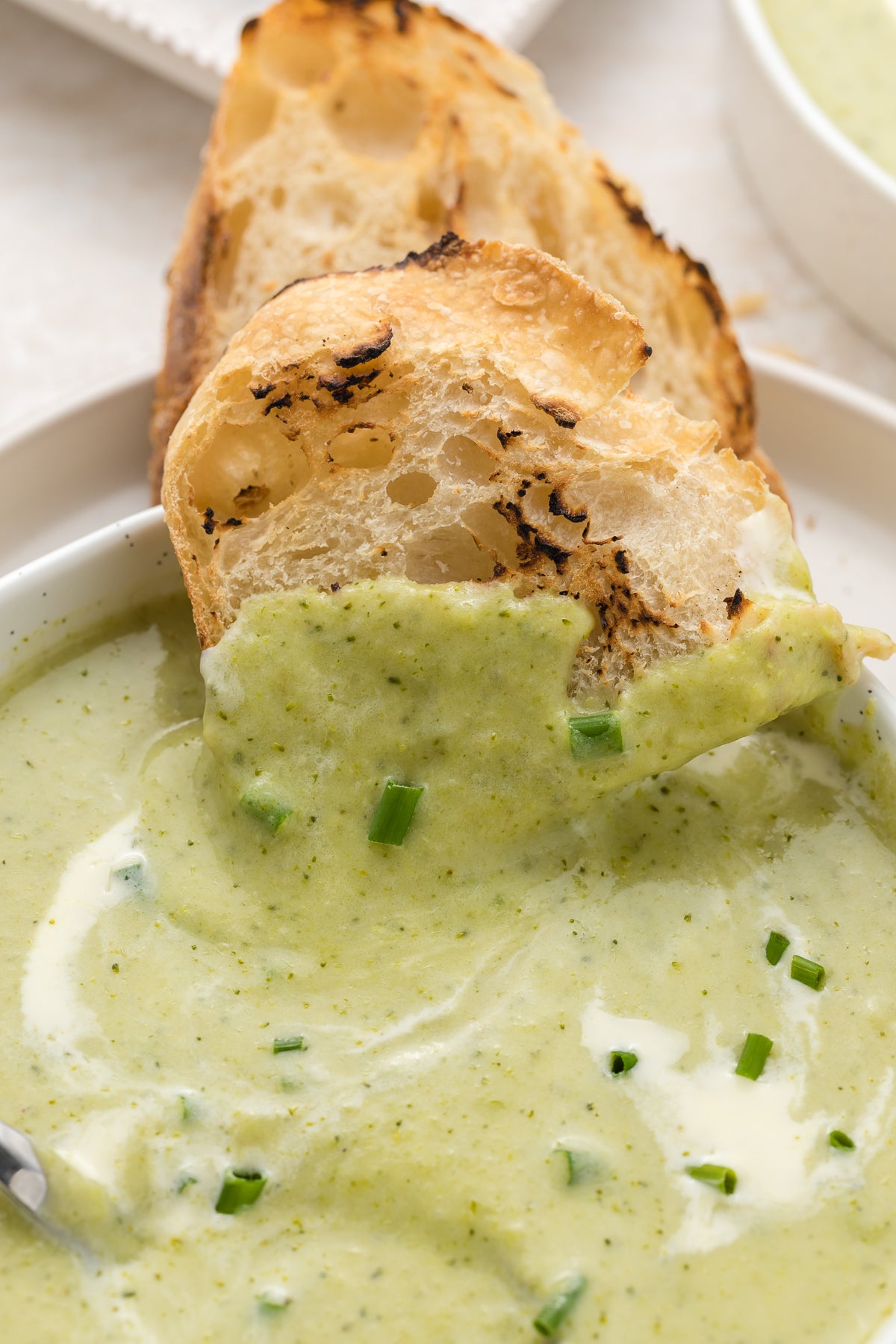 Cream of Broccoli Soup Exclusive