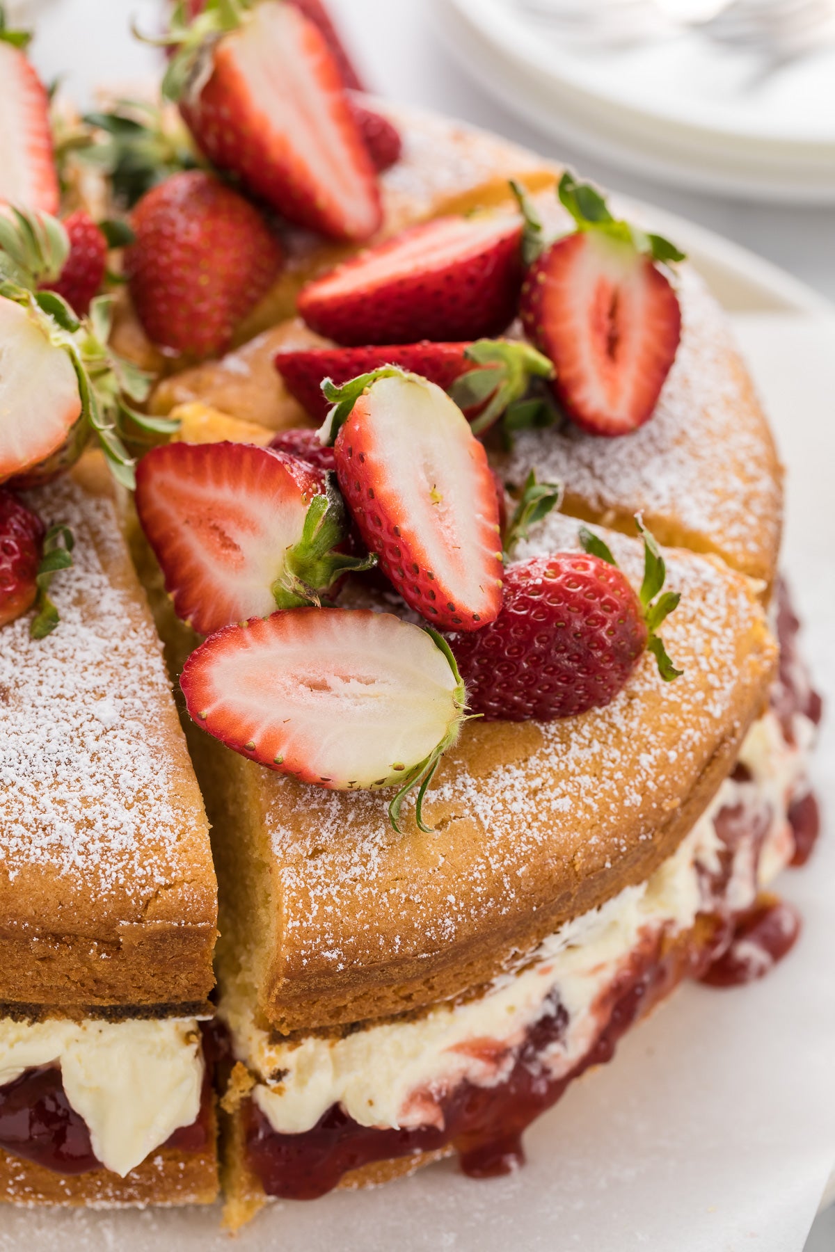 Victoria Sandwich Exclusive