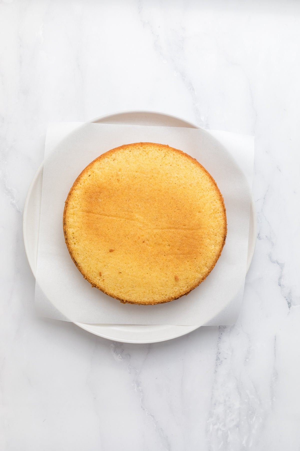 Victoria Sandwich Exclusive