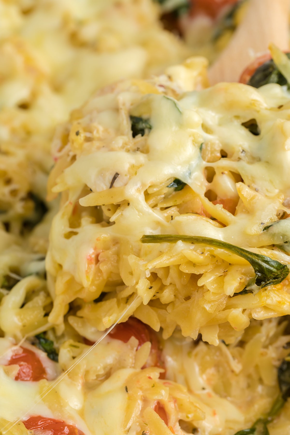 Chicken Orzo Pasta Bake Exclusive