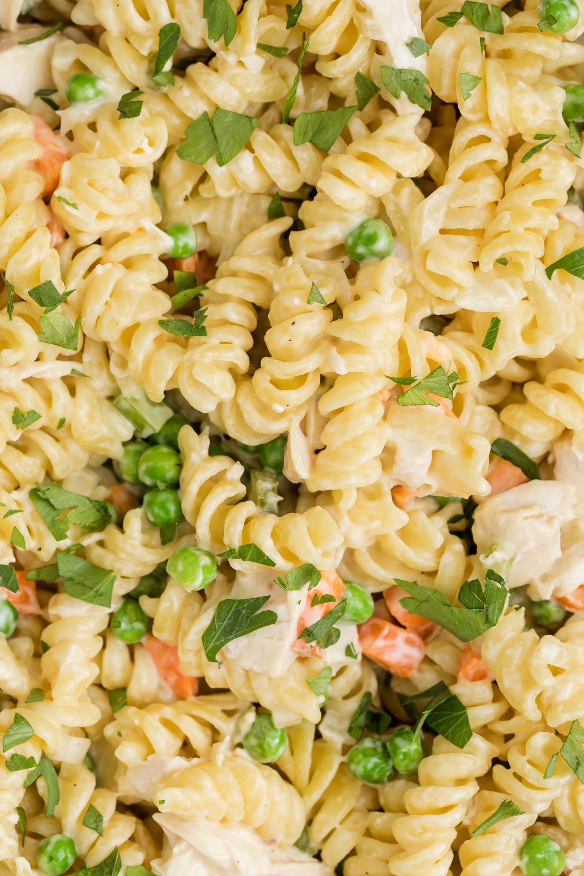 Chicken Pot Pie Pasta Exclusive