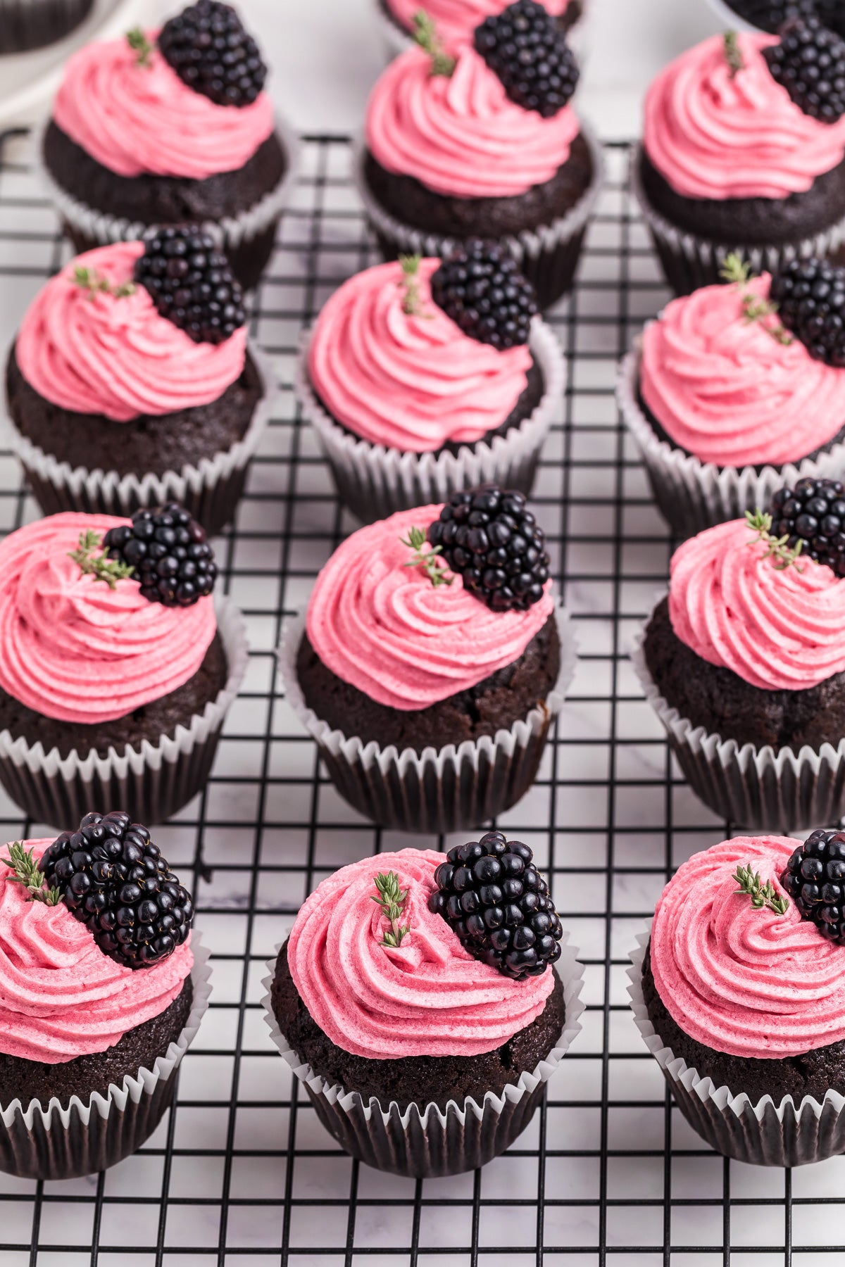 Chocolate Blackberry Cupcakes Exclusive