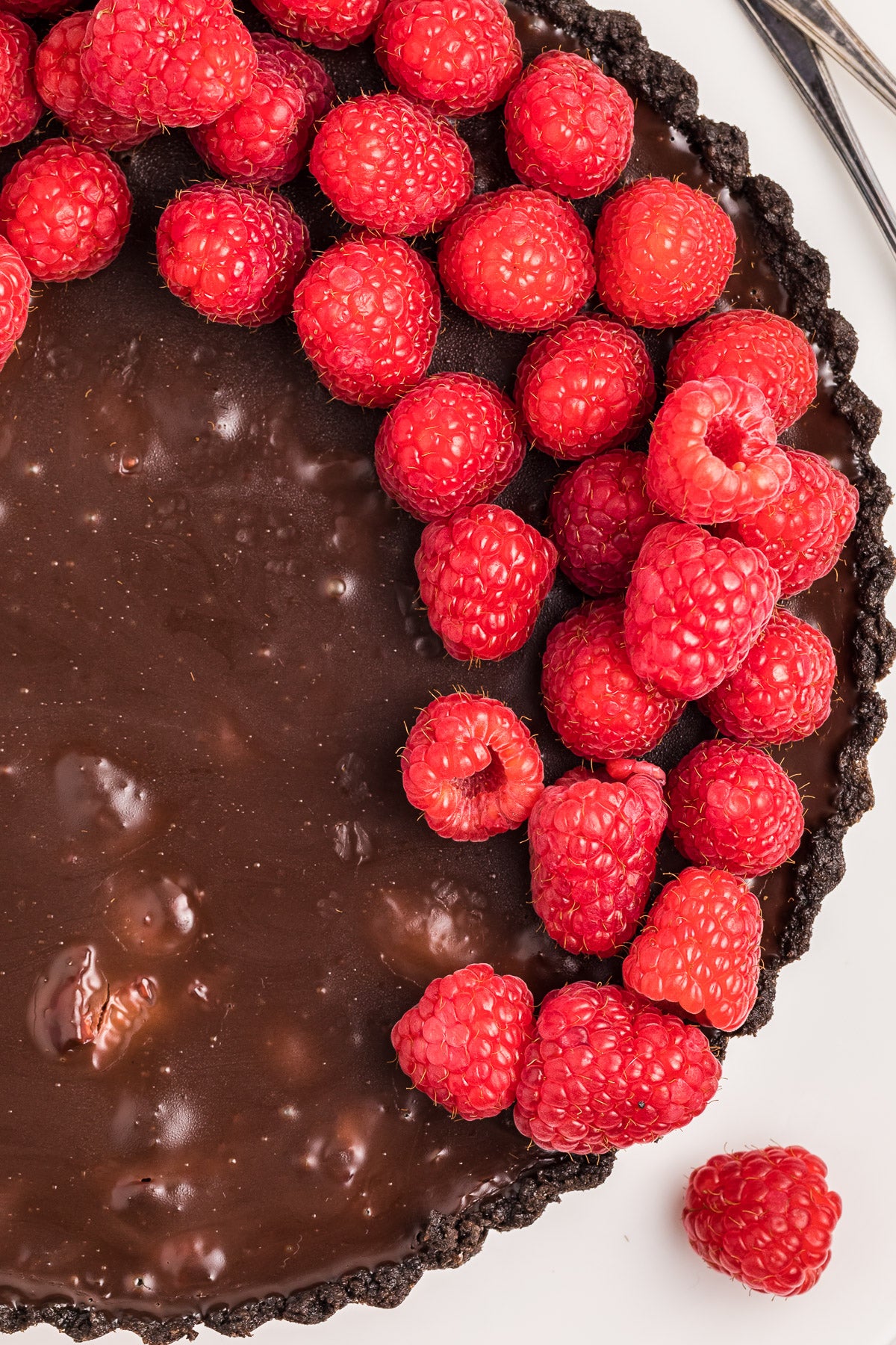 Chocolate Raspberry Tart Exclusive