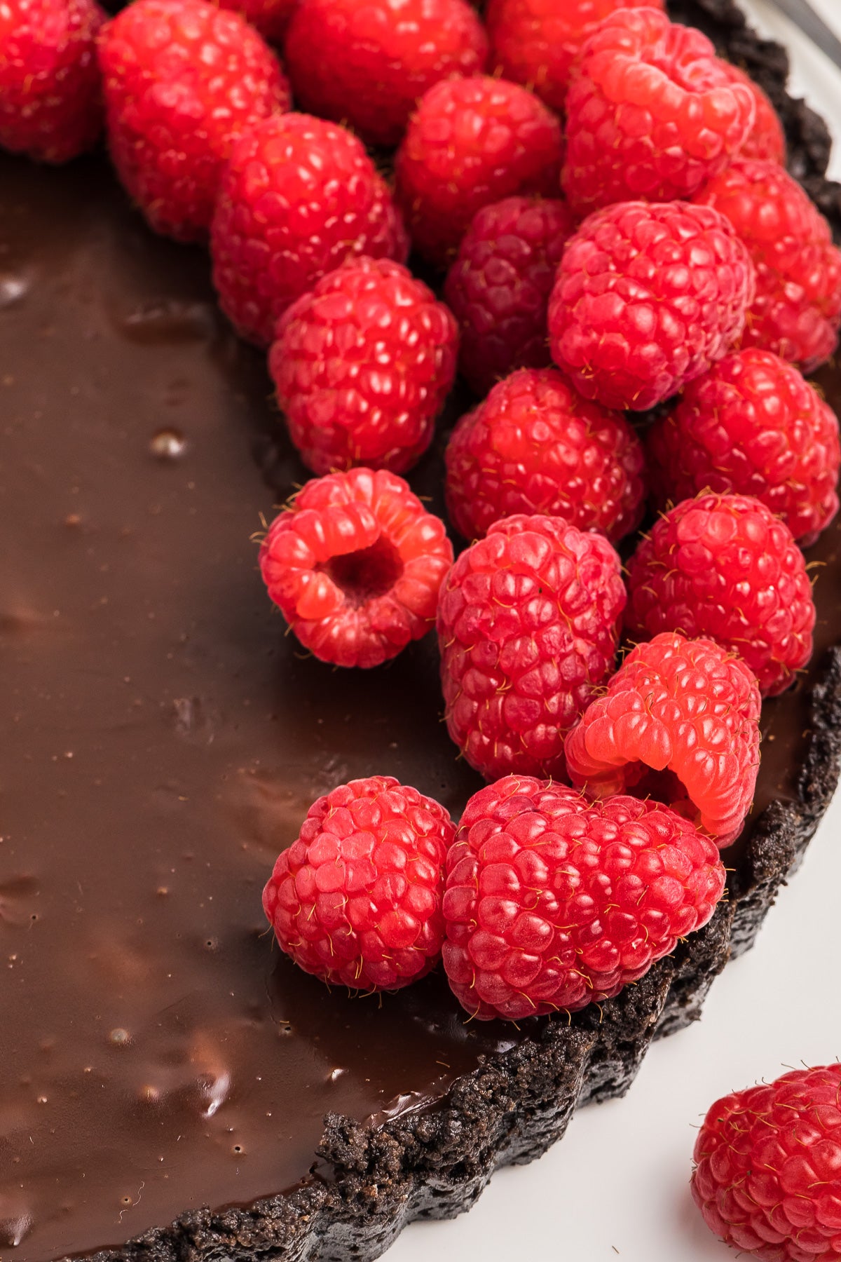 Chocolate Raspberry Tart Exclusive