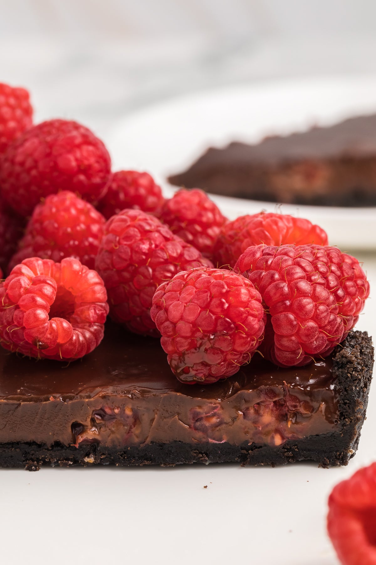 Chocolate Raspberry Tart Exclusive