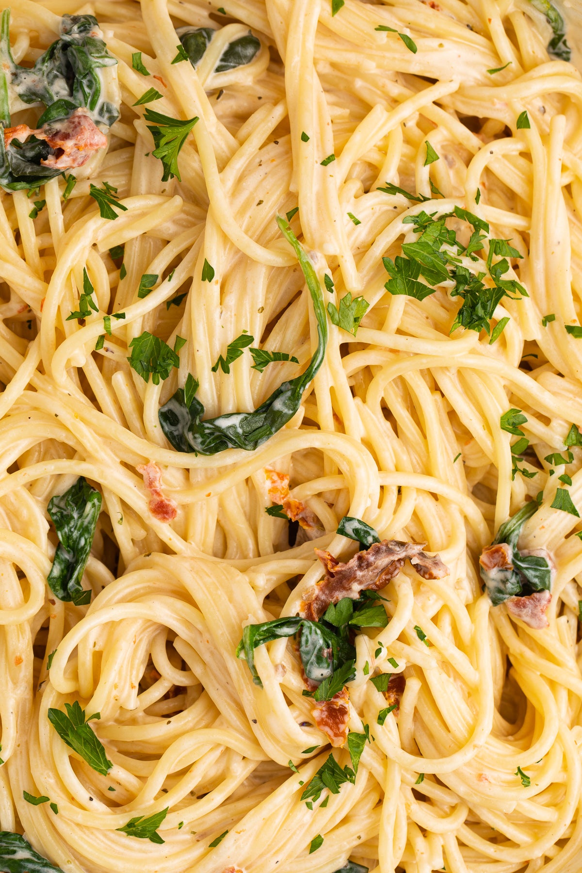 Cream Cheese Pasta Exclusive