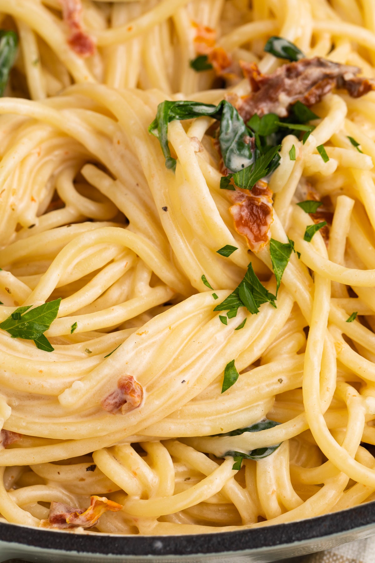 Cream Cheese Pasta Exclusive