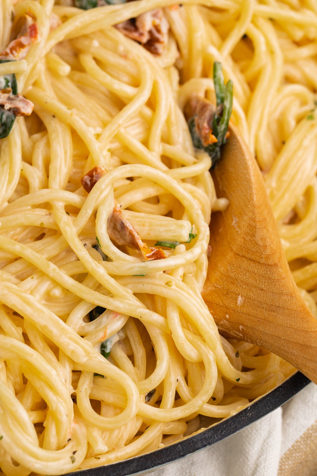 Cream Cheese Pasta Exclusive