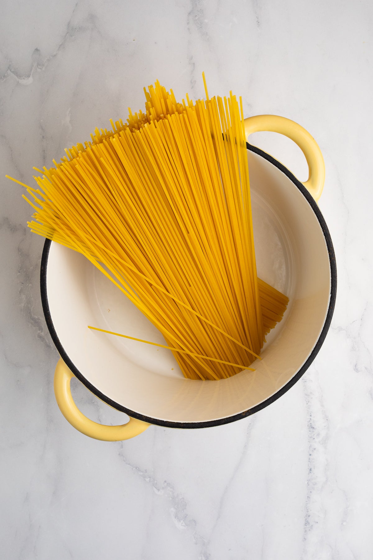 Cream Cheese Pasta Exclusive