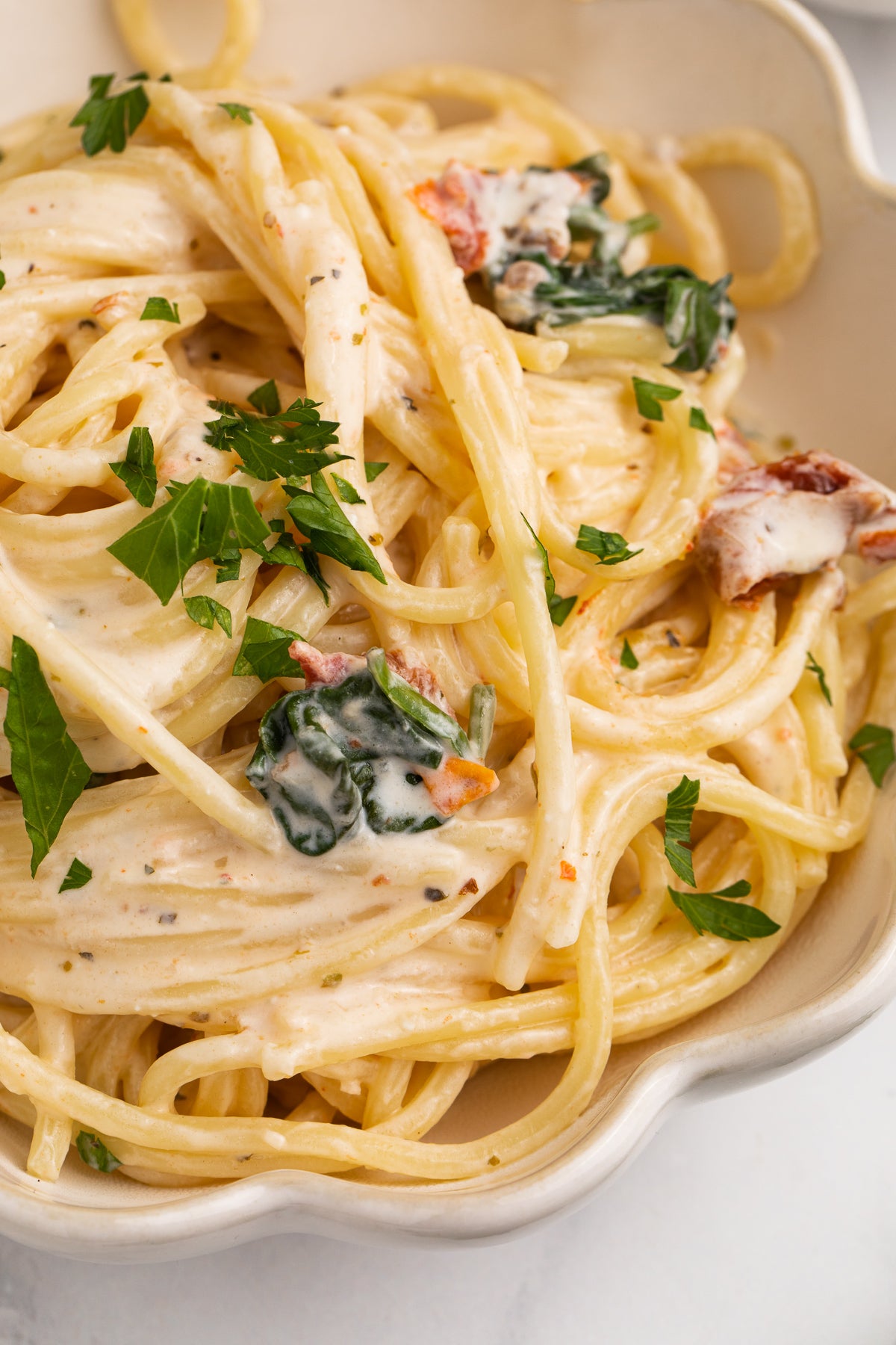 Cream Cheese Pasta Exclusive