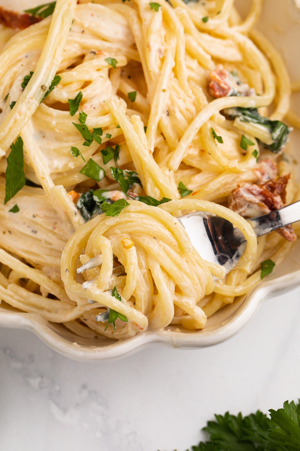 Cream Cheese Pasta Exclusive