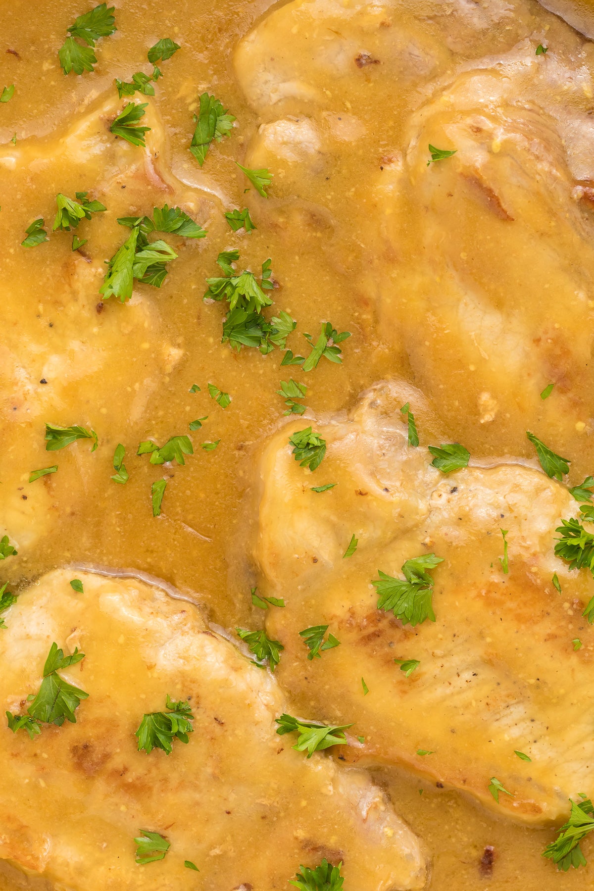 Honey Mustard Pork Chops Exclusive