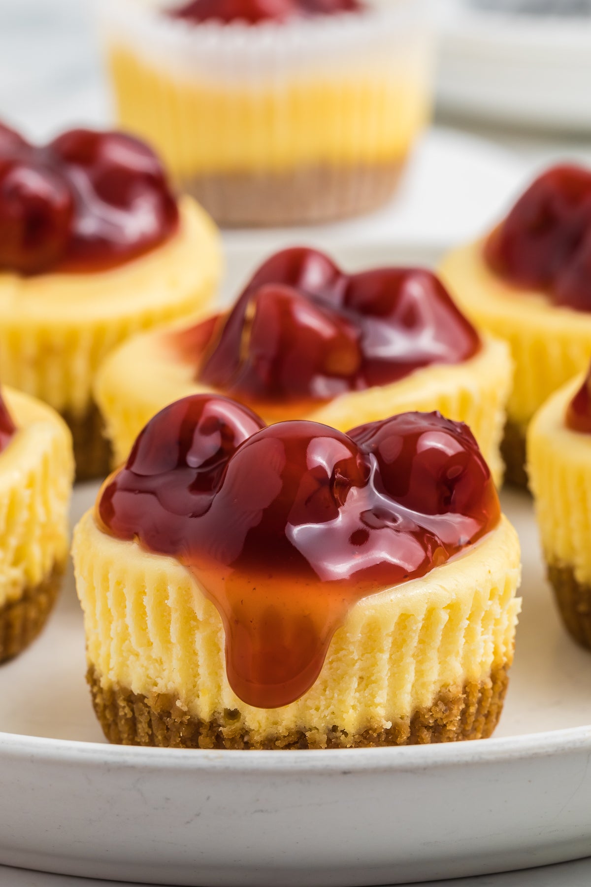 Mini Cherry Baked Cheesecakes Exclusive