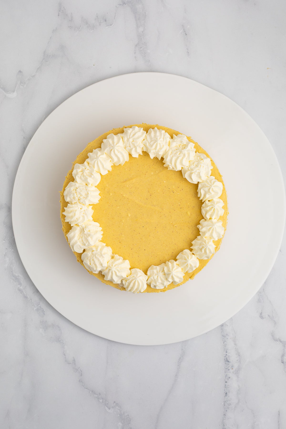 No Bake Pumpkin Cheesecake Exclusive