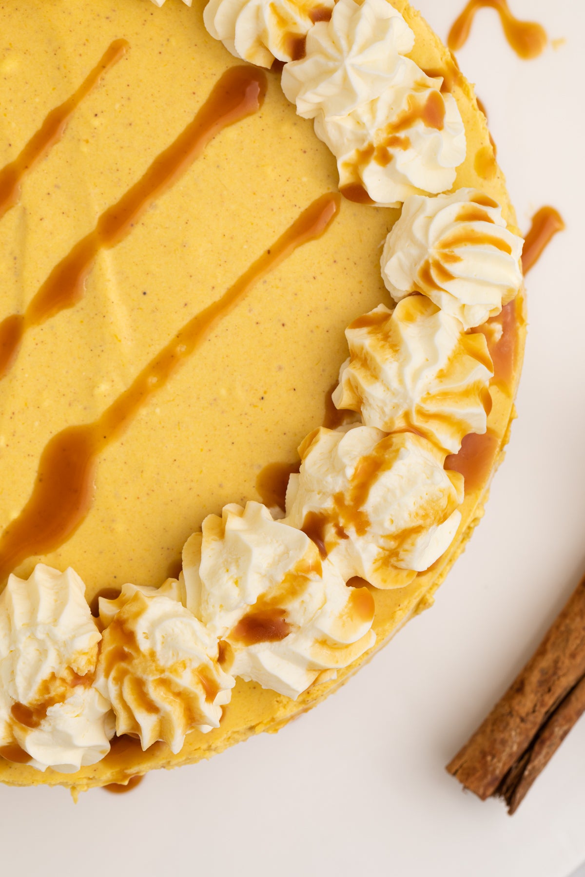 No Bake Pumpkin Cheesecake Exclusive