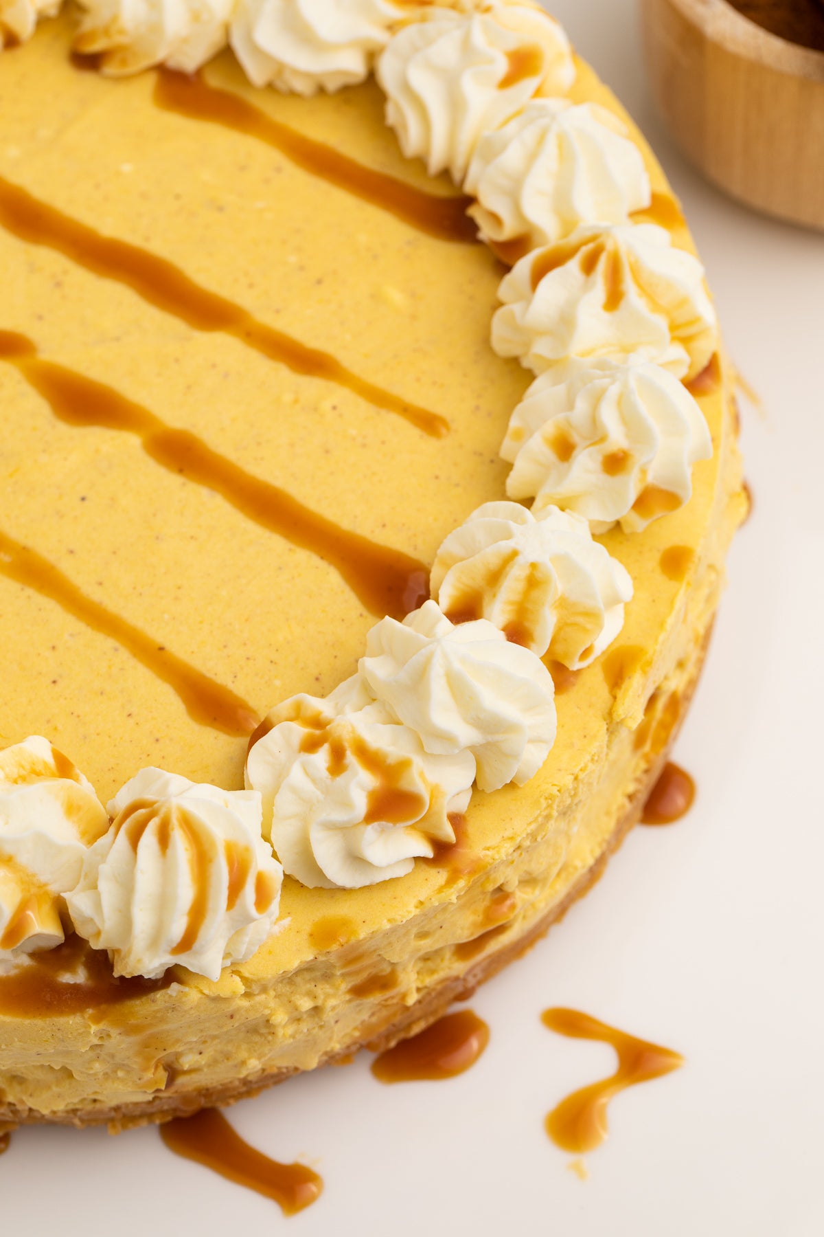 No Bake Pumpkin Cheesecake Exclusive
