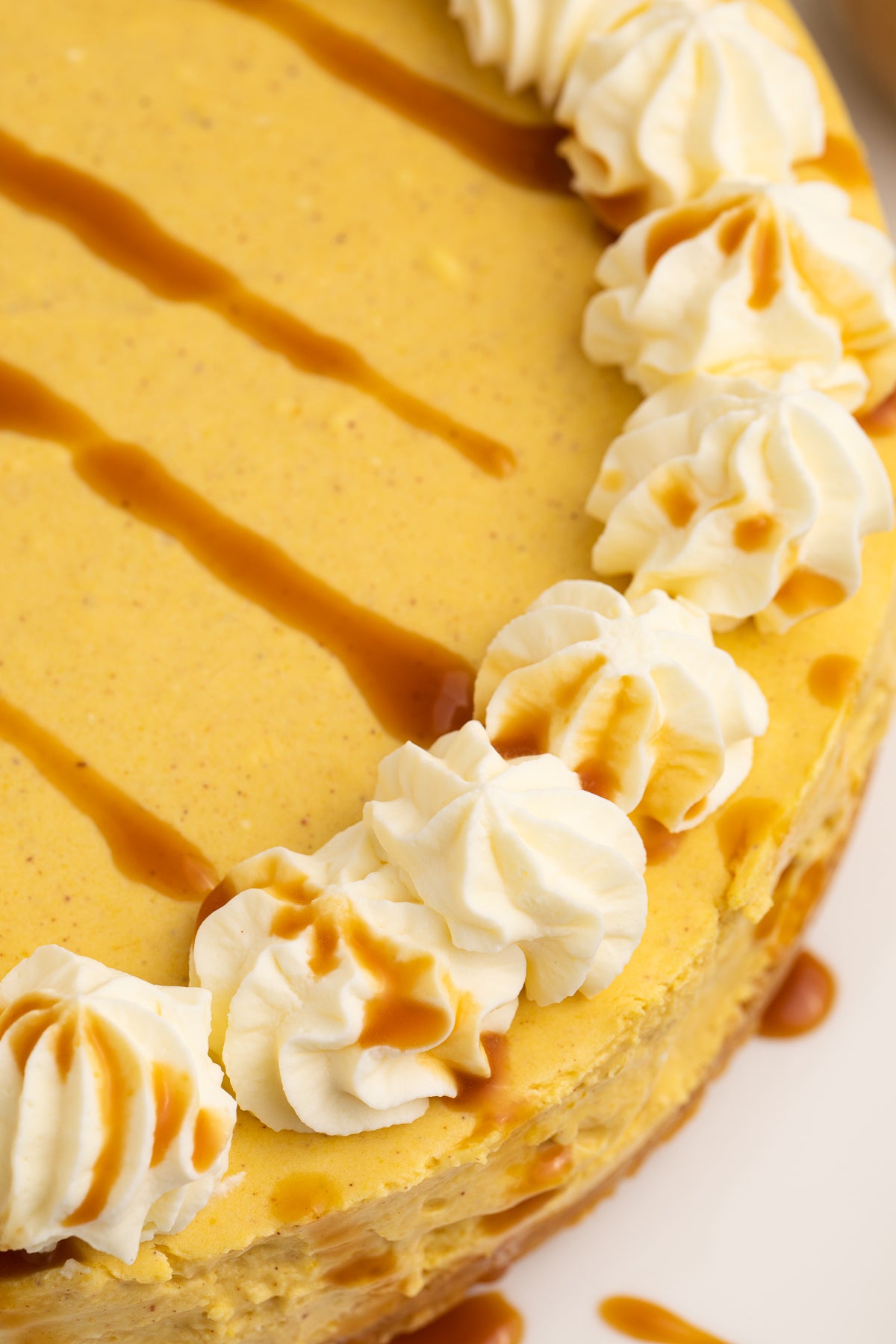 No Bake Pumpkin Cheesecake Exclusive