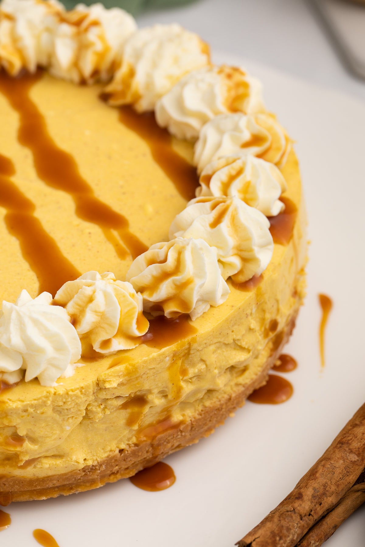No Bake Pumpkin Cheesecake Exclusive