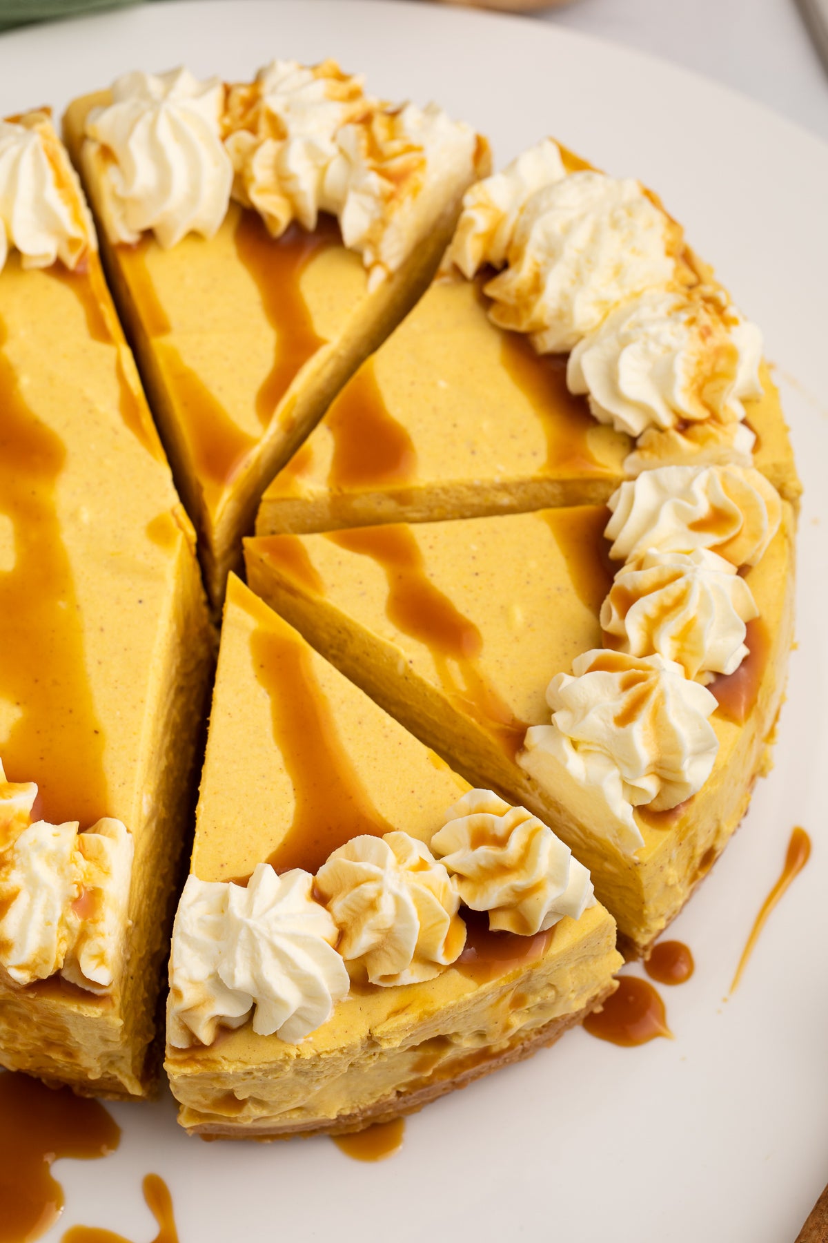 No Bake Pumpkin Cheesecake Exclusive