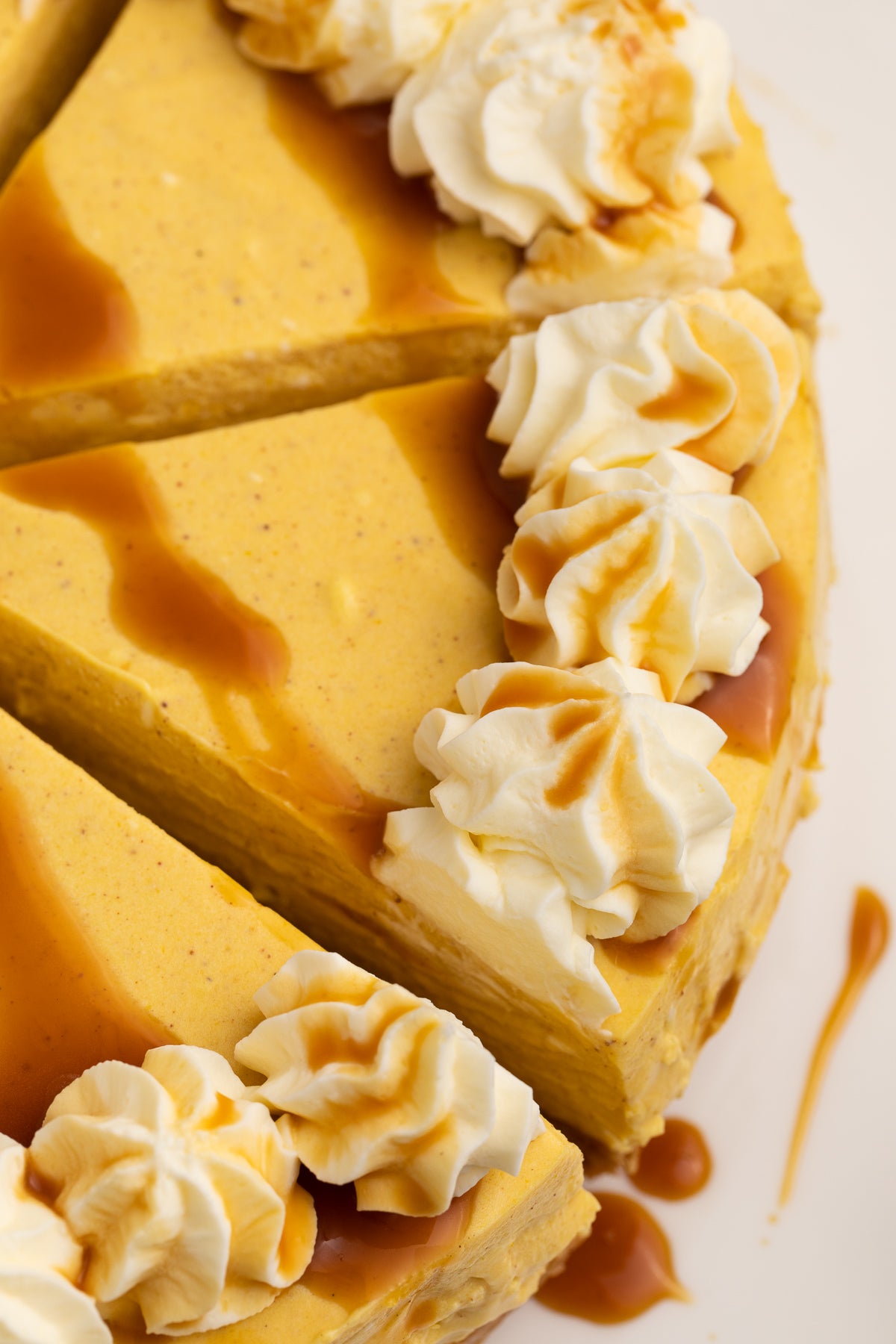 No Bake Pumpkin Cheesecake Exclusive