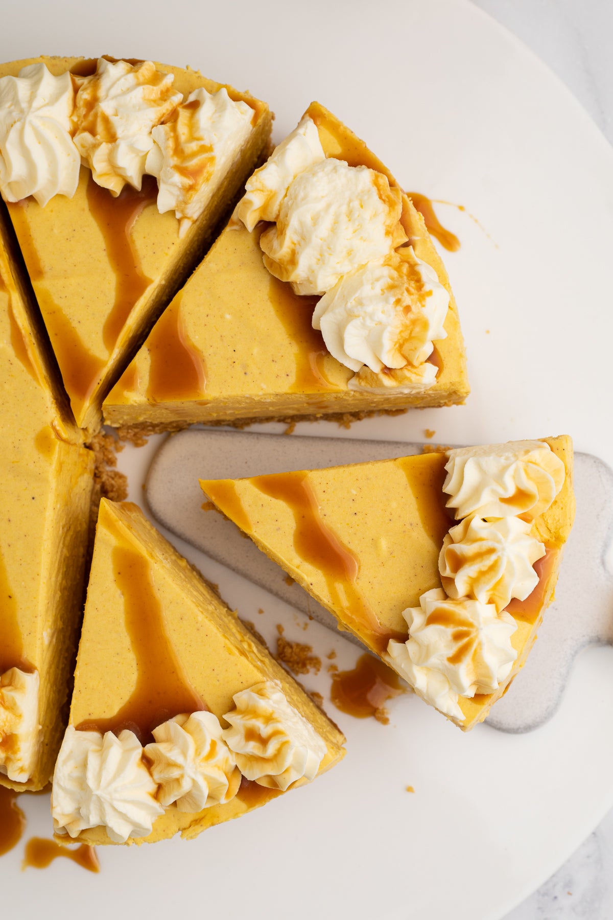 No Bake Pumpkin Cheesecake Exclusive