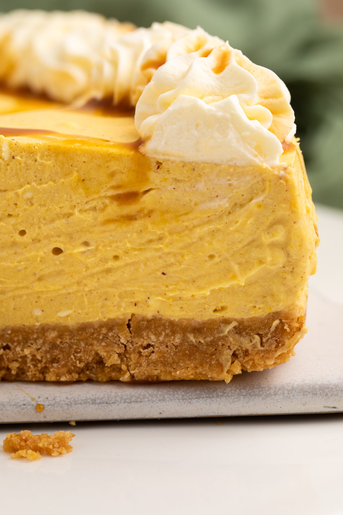 No Bake Pumpkin Cheesecake Exclusive