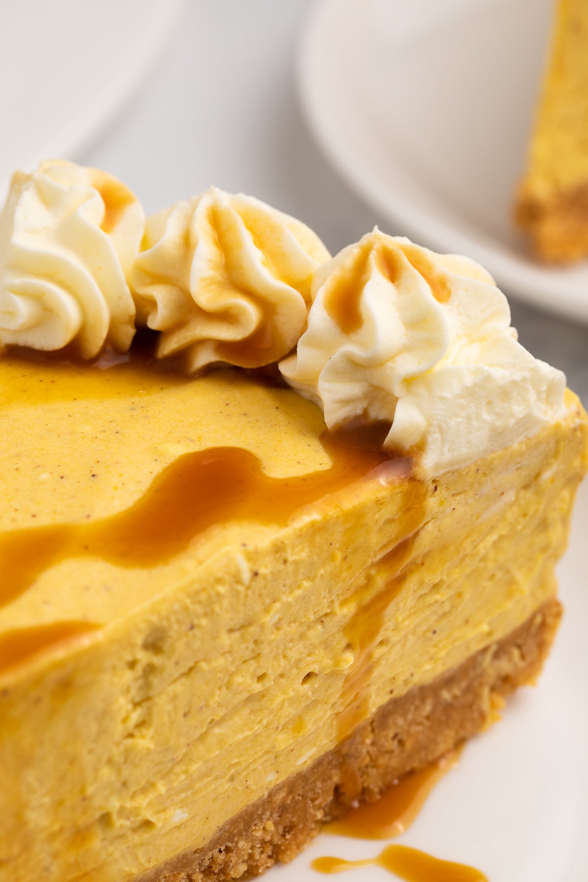 No Bake Pumpkin Cheesecake Exclusive