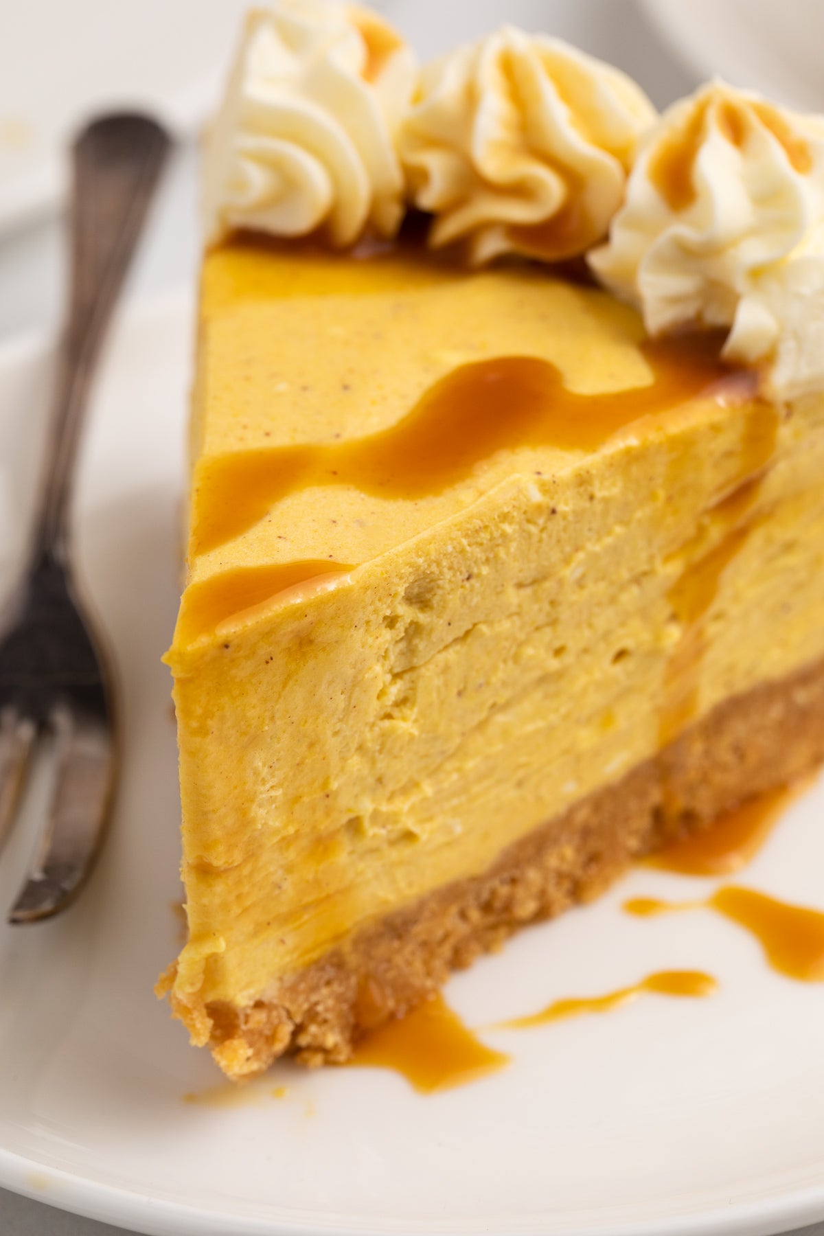 No Bake Pumpkin Cheesecake Exclusive