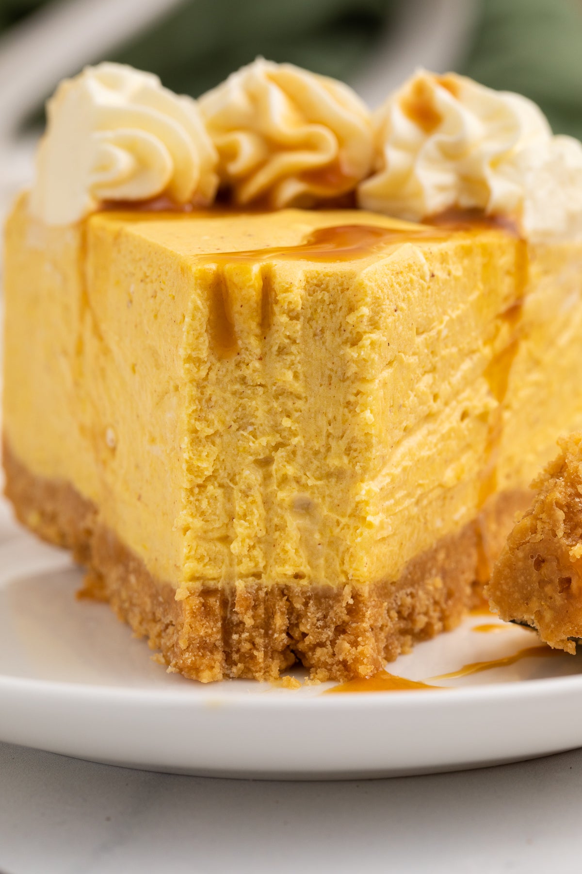 No Bake Pumpkin Cheesecake Exclusive