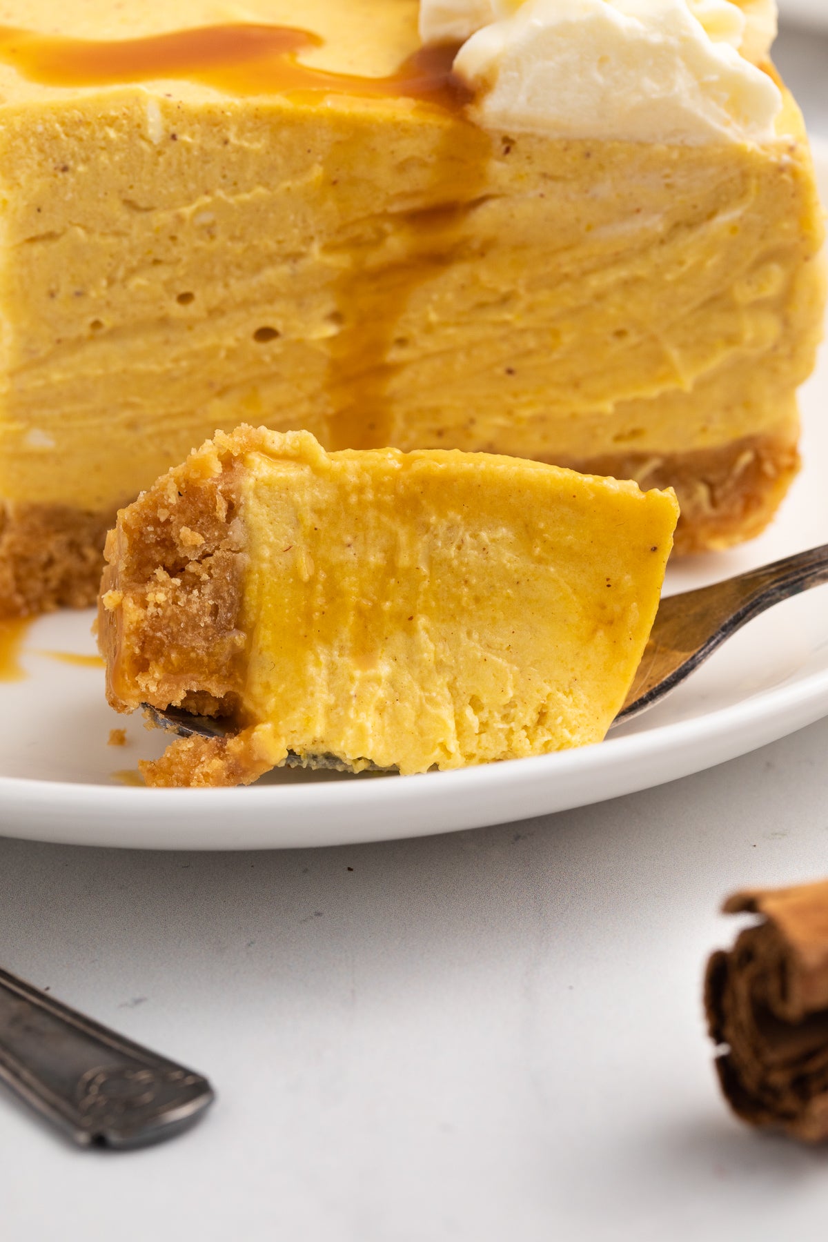 No Bake Pumpkin Cheesecake Exclusive