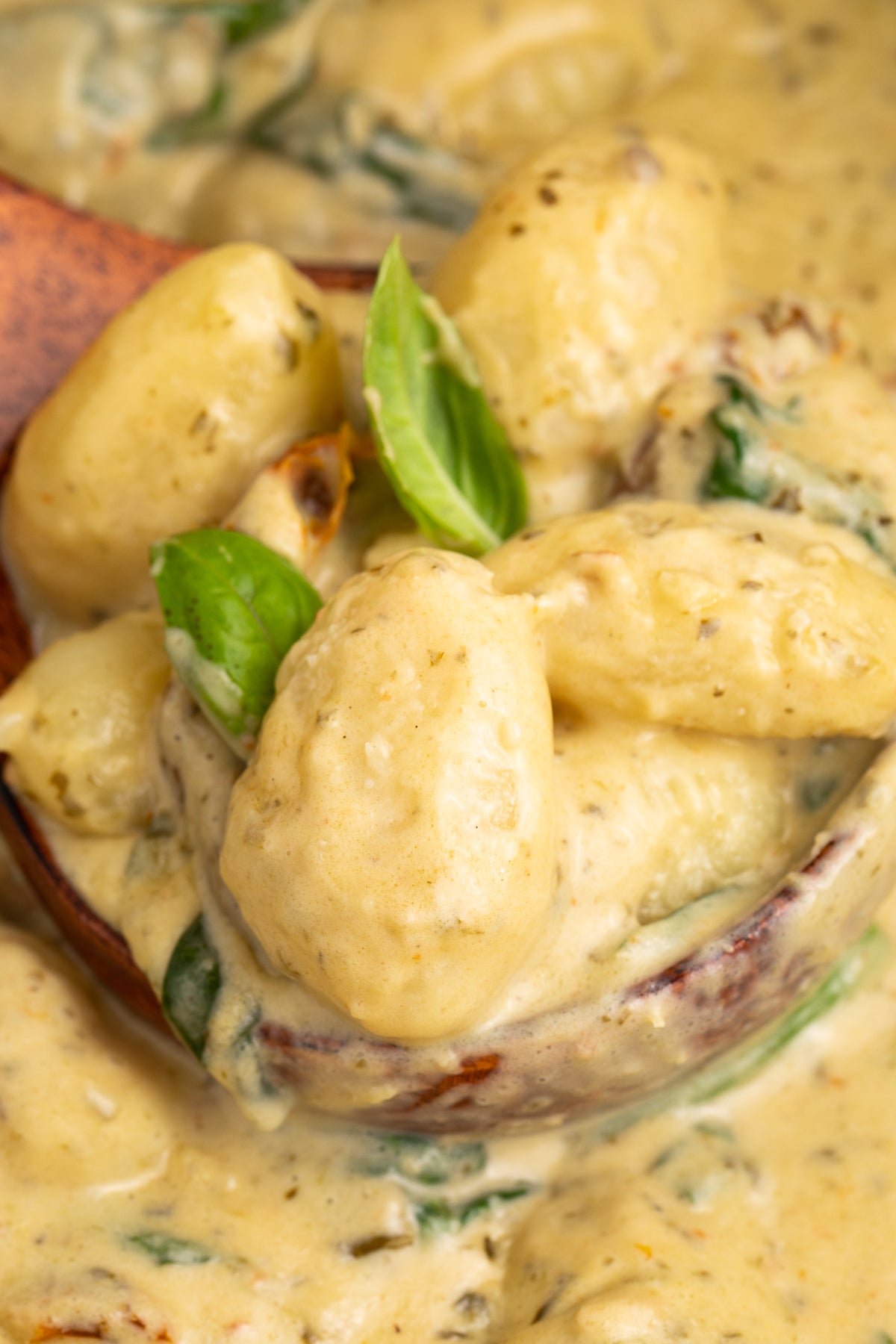 Pesto Gnocchi Exclusive
