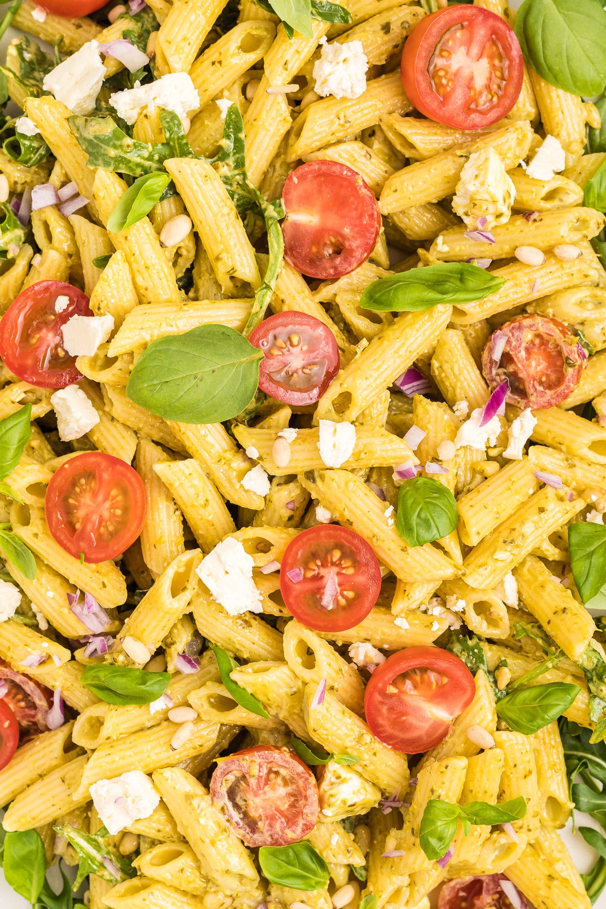 Pesto Pasta Salad Exclusive