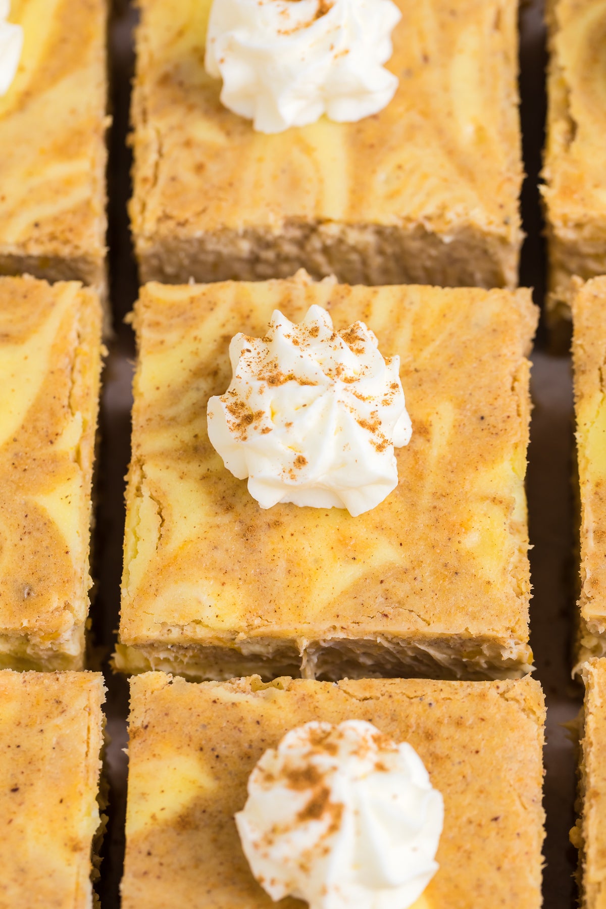 Pumpkin Cheesecake Bars Exclusive