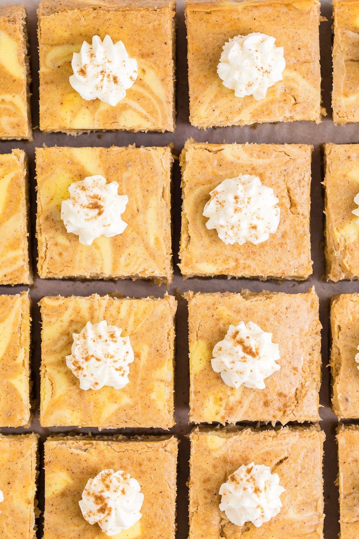 Pumpkin Cheesecake Bars Exclusive