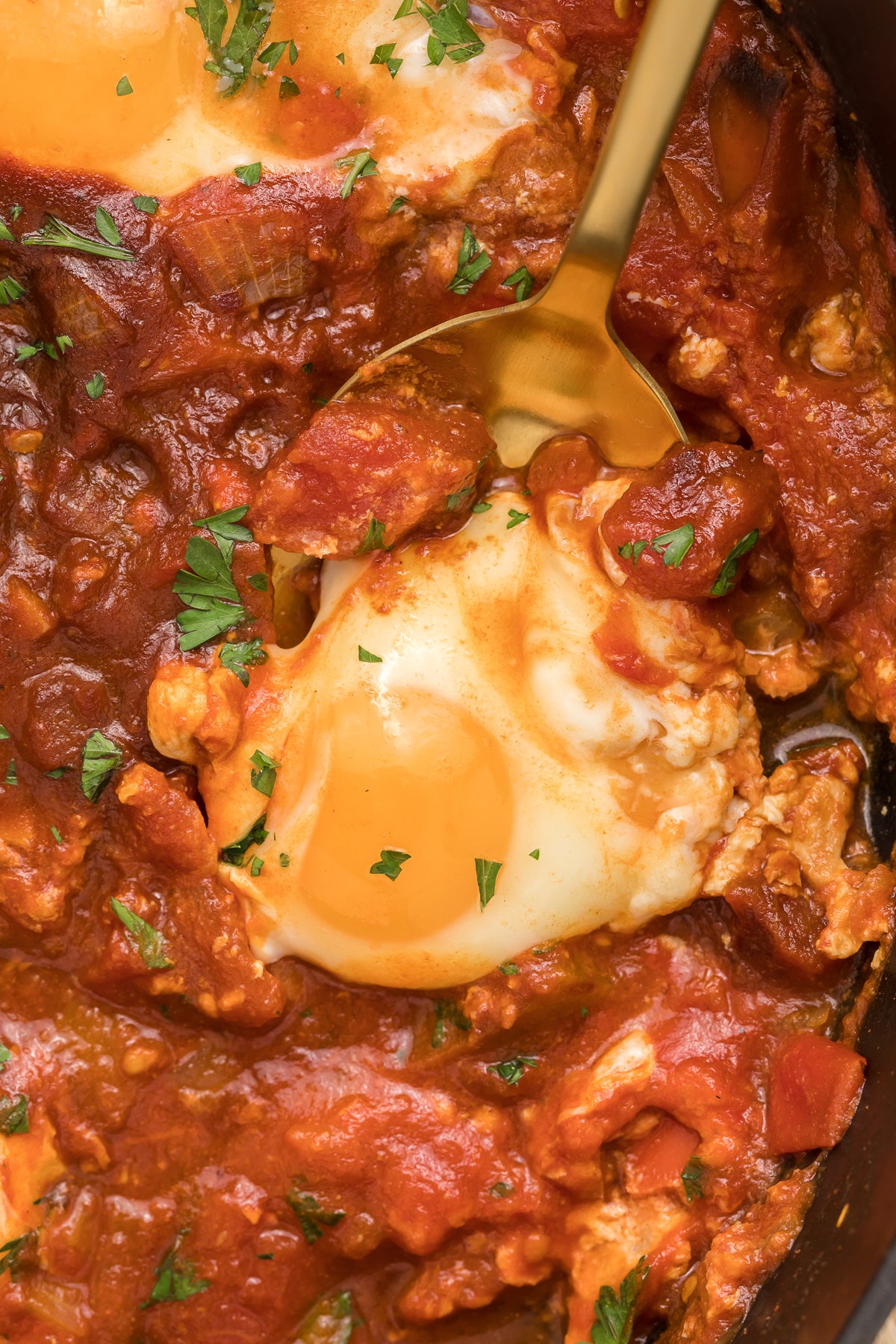 Shakshuka Exclusive