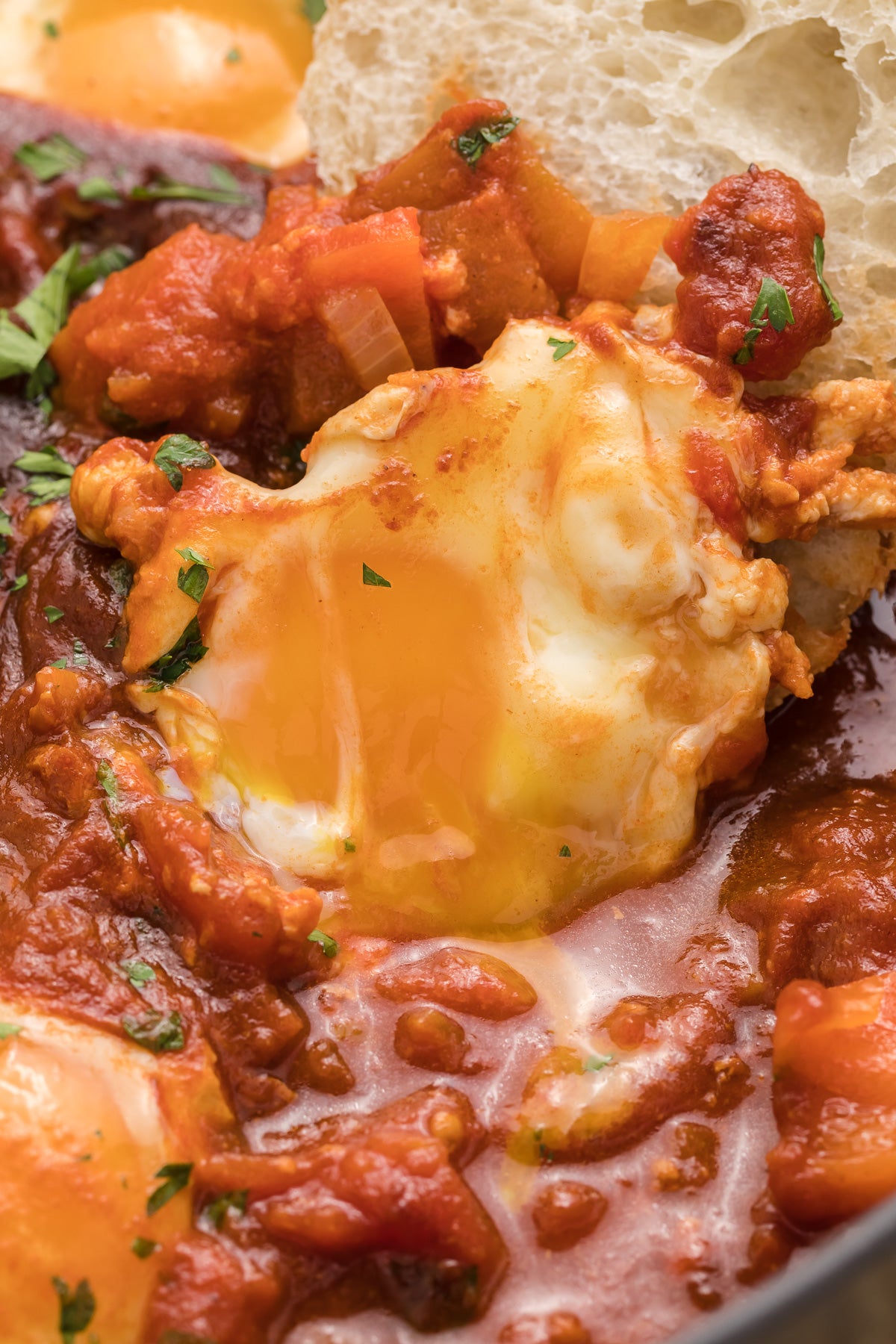 Shakshuka Exclusive
